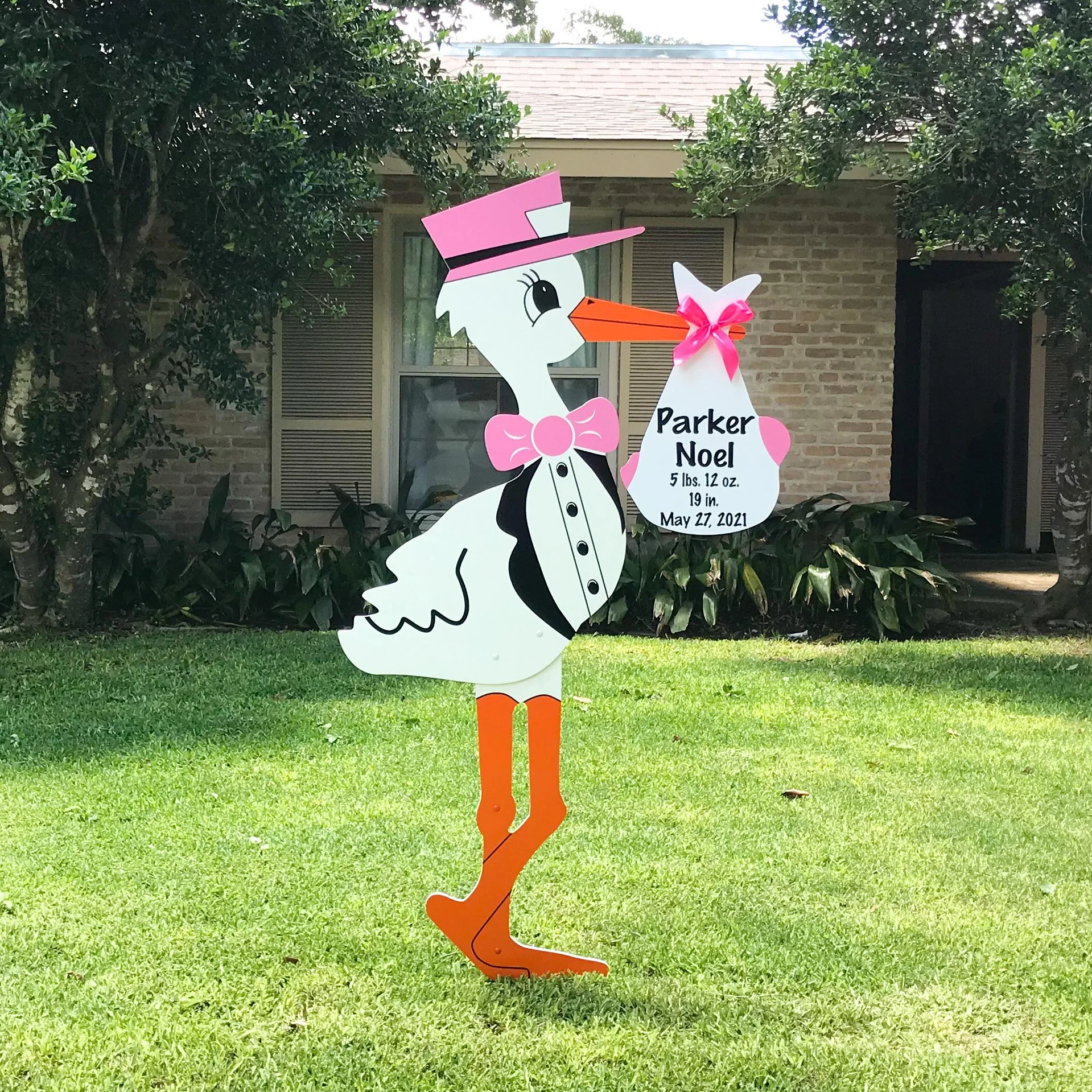 3 Day Personalized Stork