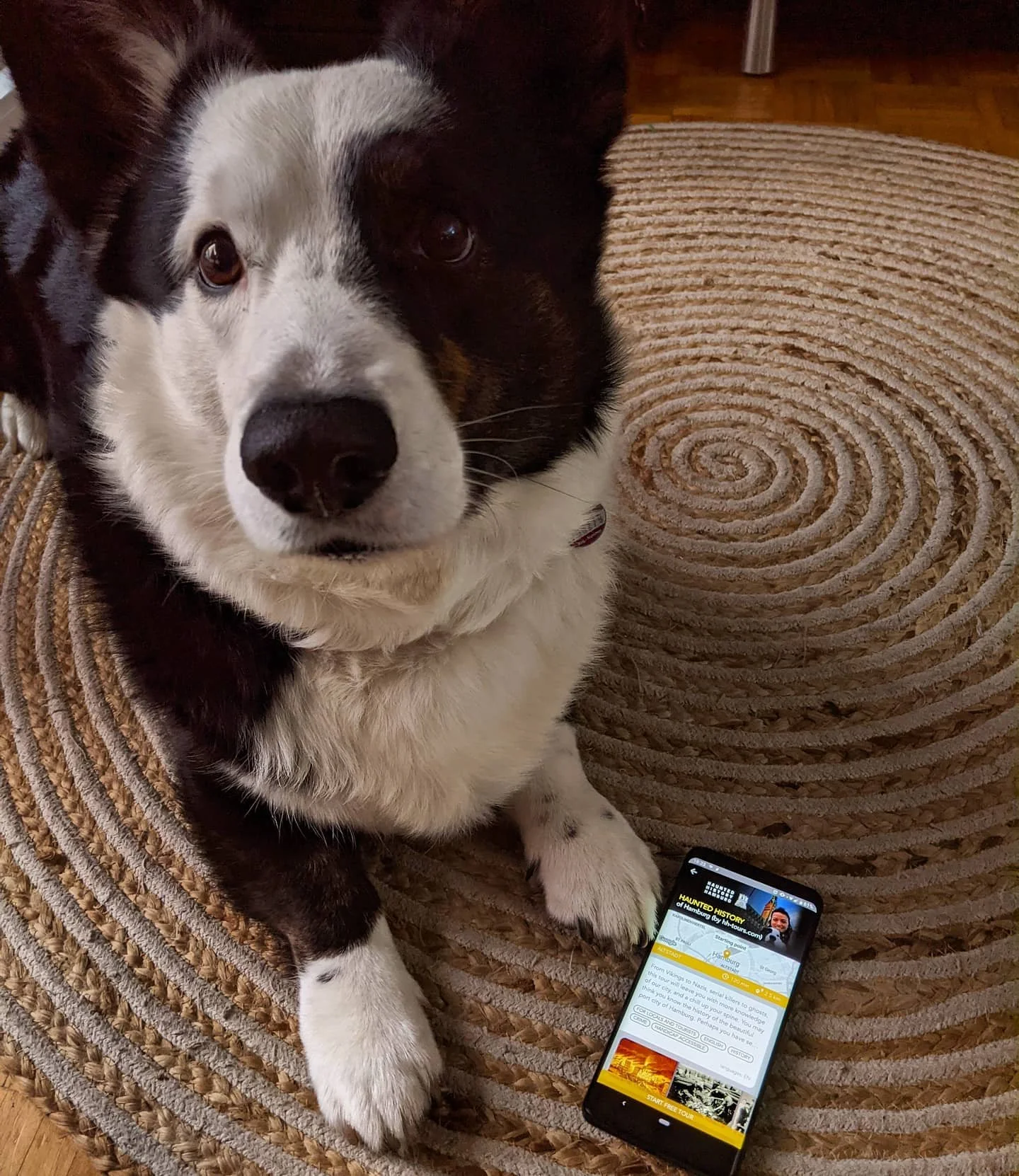 It might be April Fool's Day, but this ain't no joke! Our tour is available for you, right now, even during these lockdown days! We're still in the testing phase, so for now, it's free!!! Unfortunately, we can't run in-person tours, so our virtual on