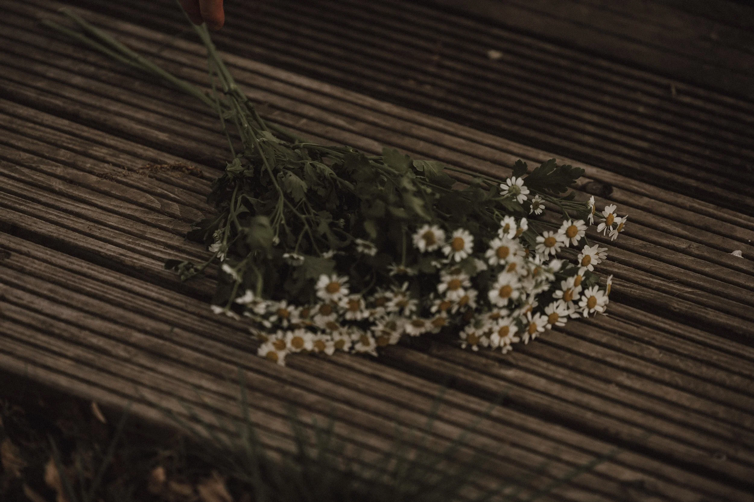 Schwangerschaft (6 von 11).jpg