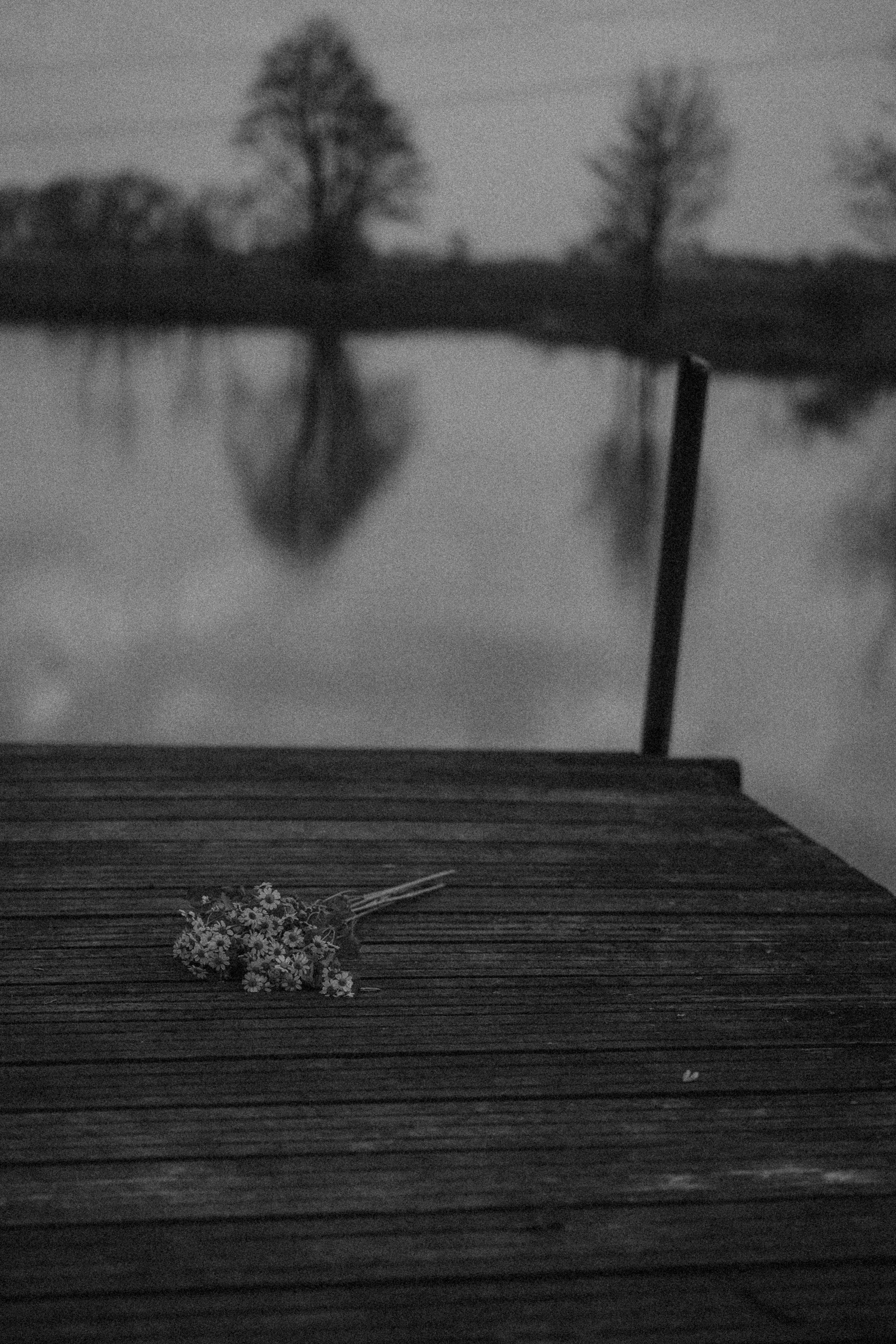 Schwangerschaft (10 von 11).jpg