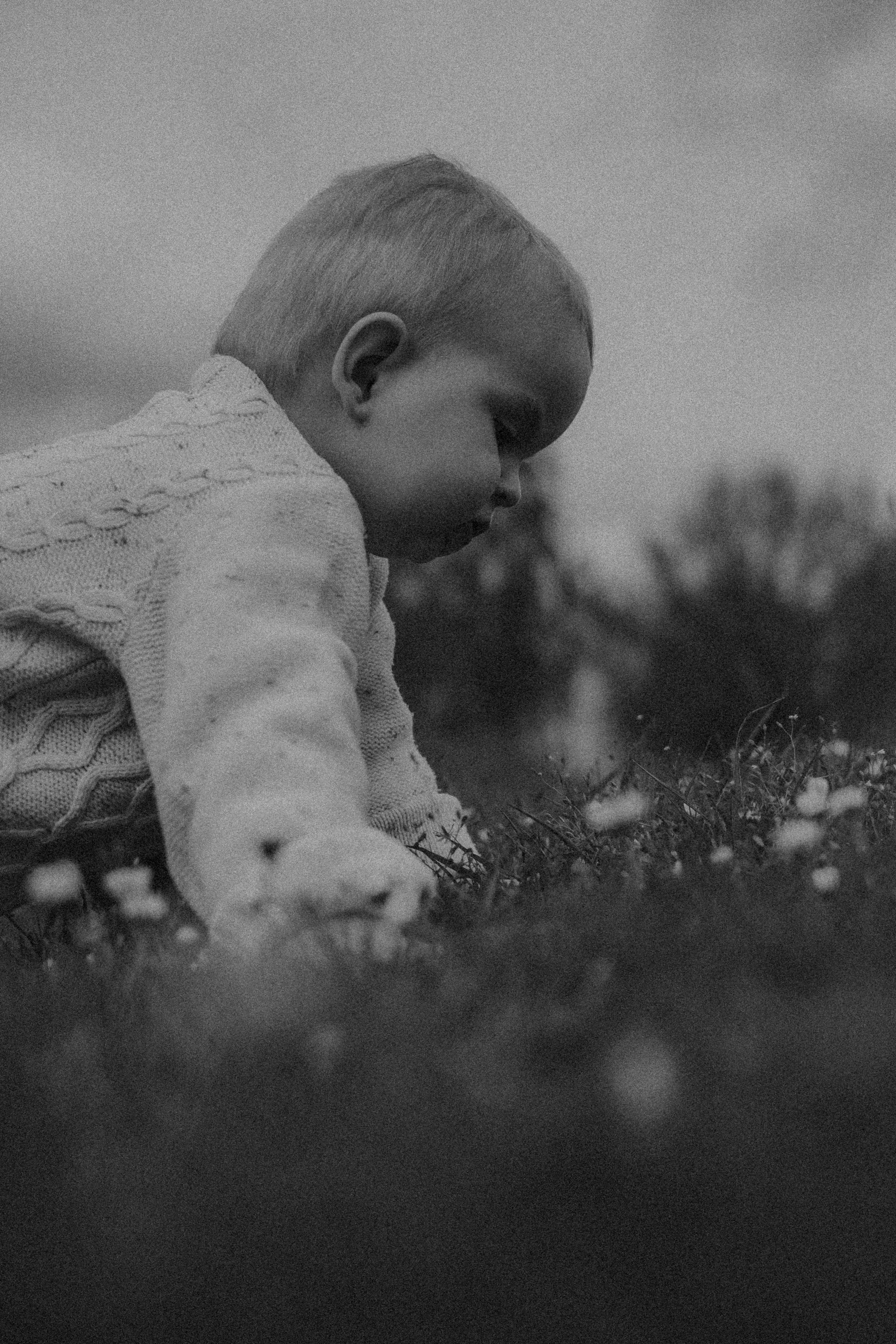 Levi (10 von 16).jpg