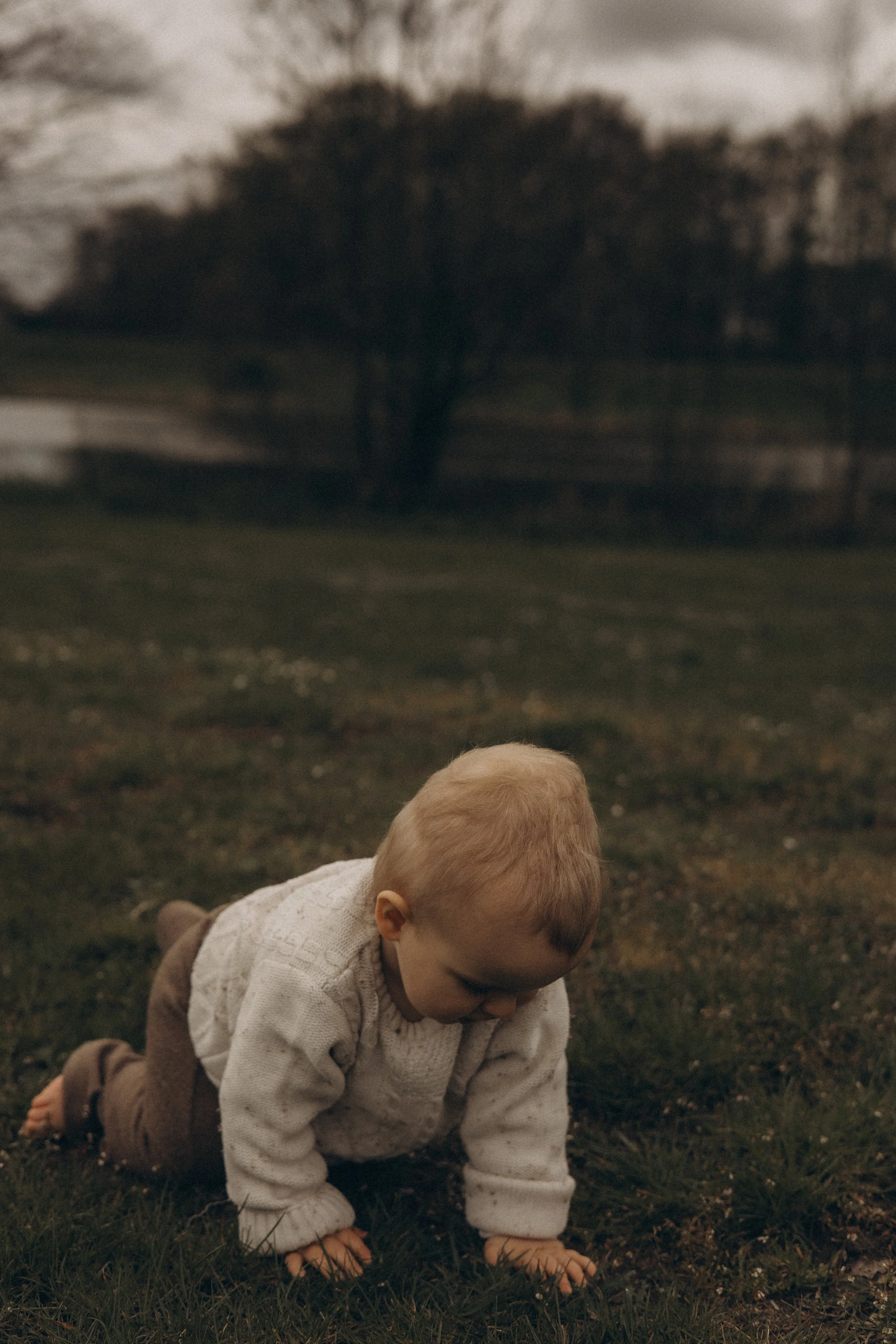 Levi (11 von 16).jpg