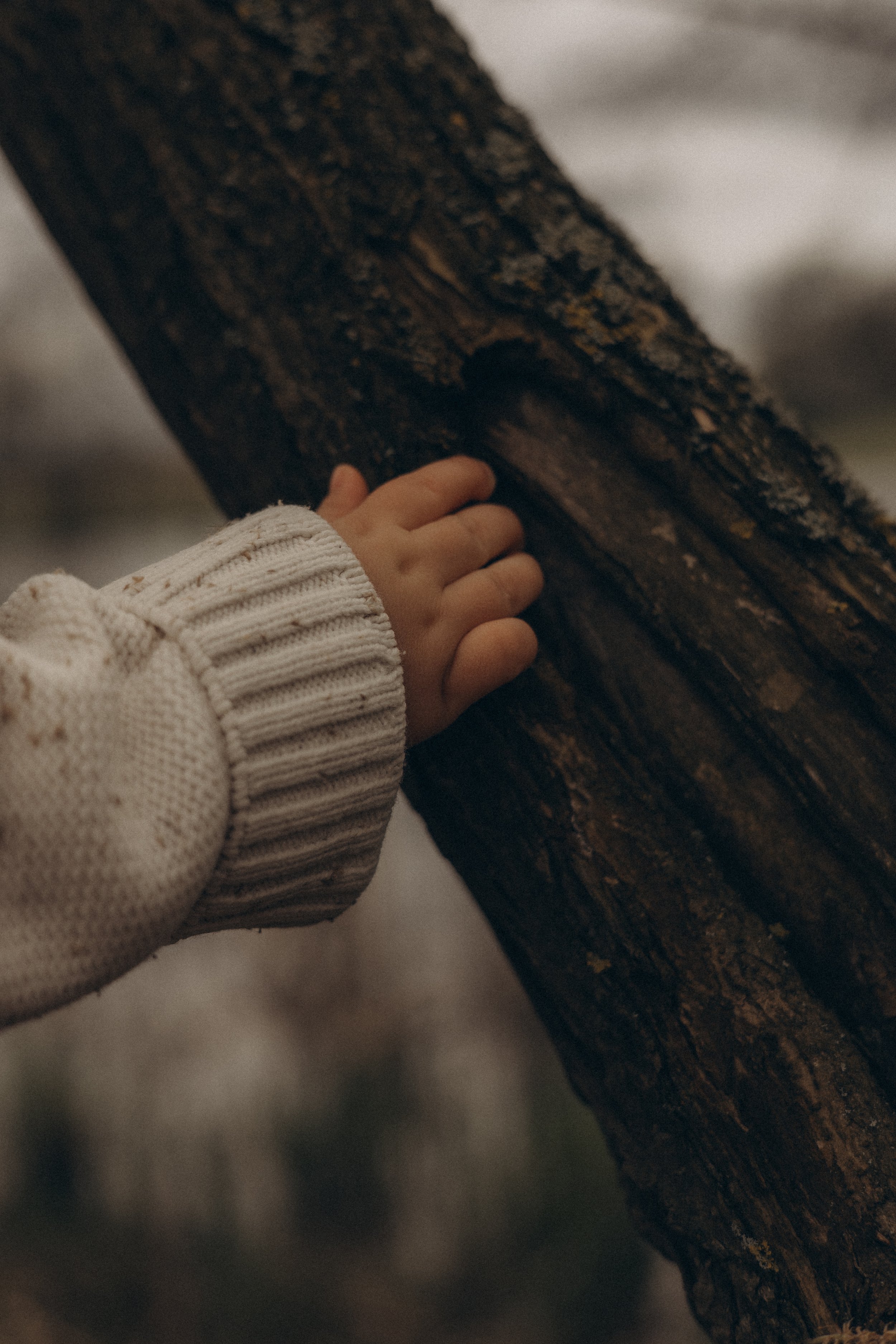 Levi (13 von 16).jpg