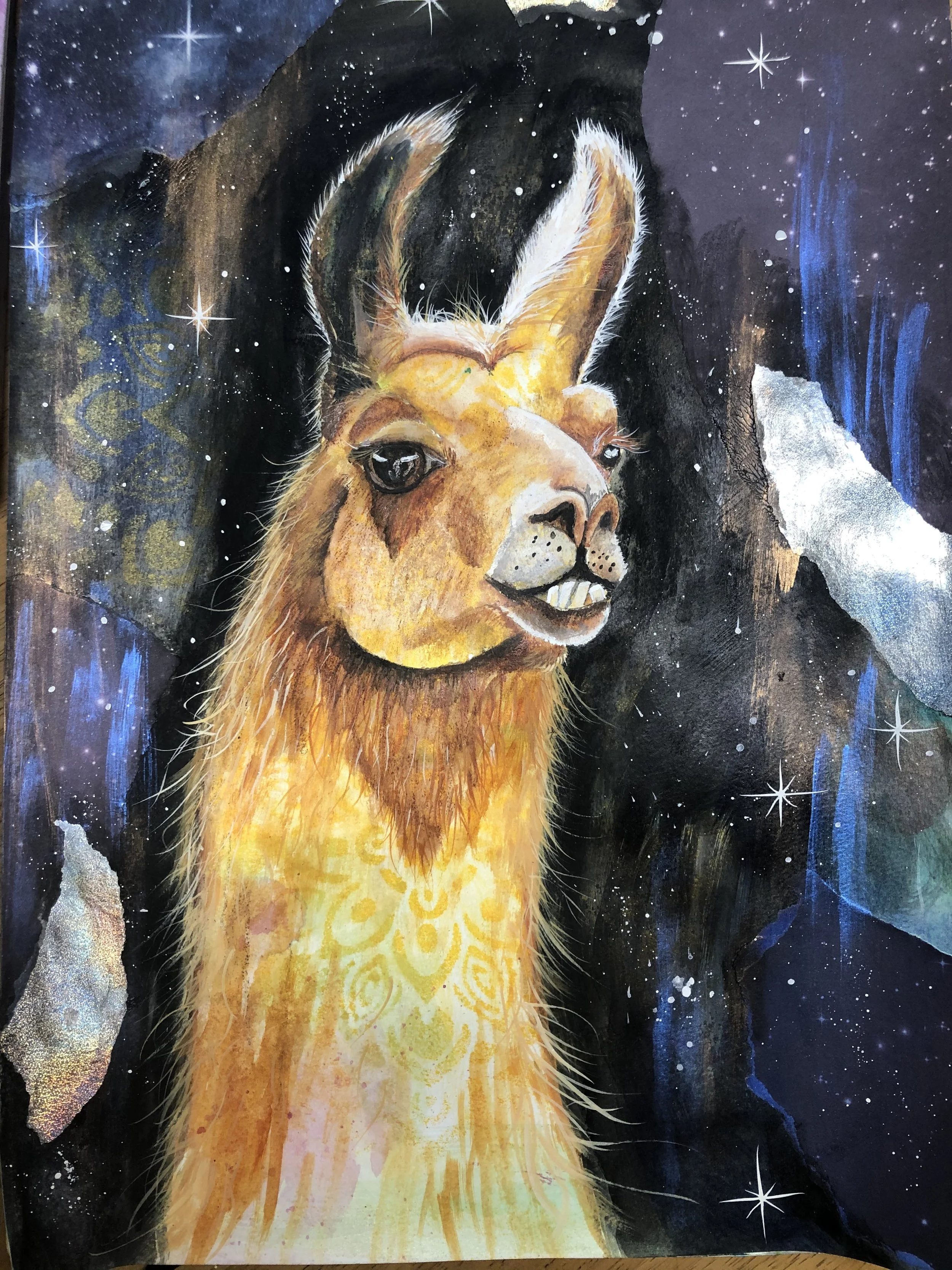 Llama in Space $175 12 X 16: Mixed Media