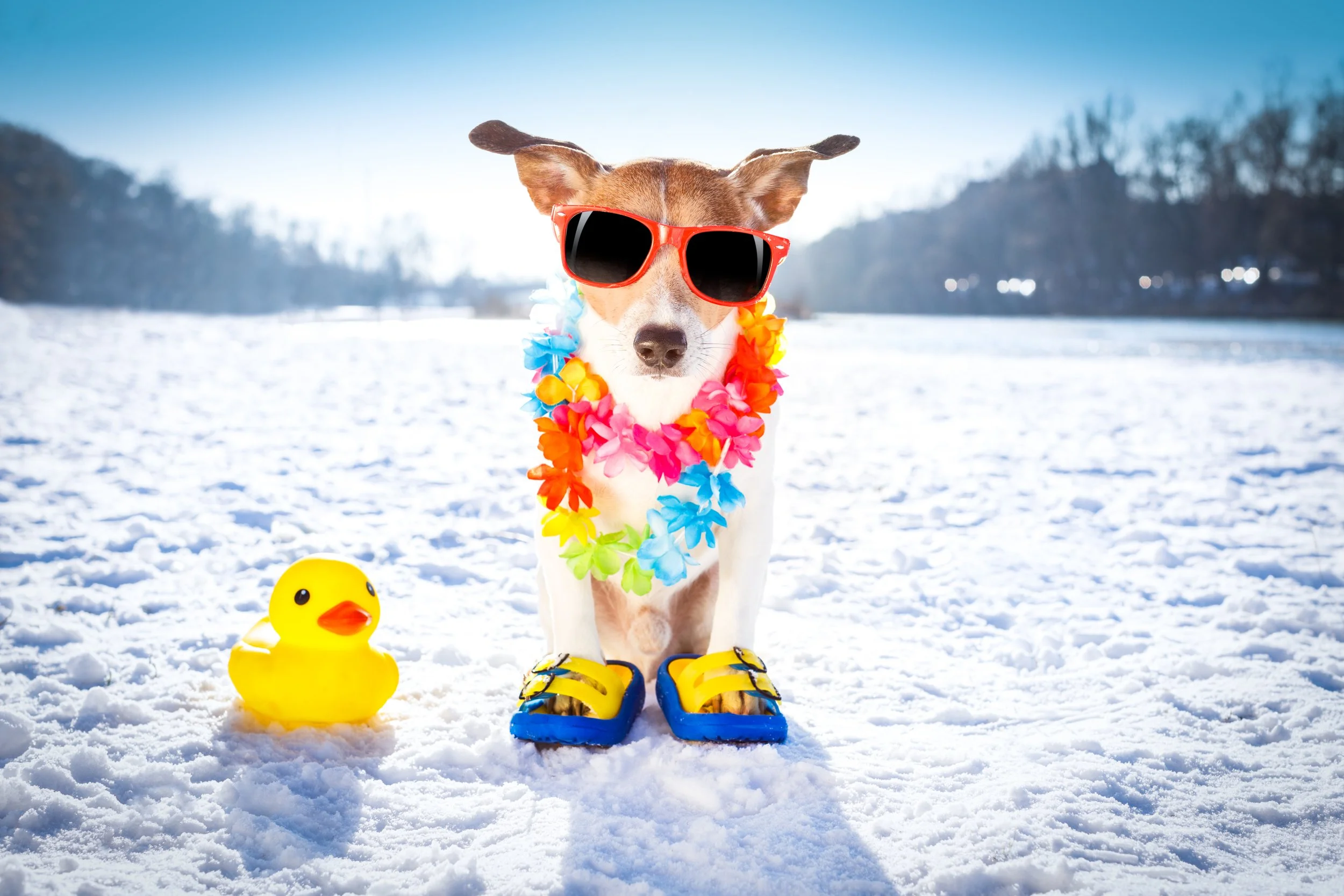 What a Cold Summer Means for Winter in Northeast Georgia