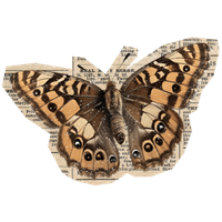 Butterfly illustration for queer affirming therapy in Sacramento