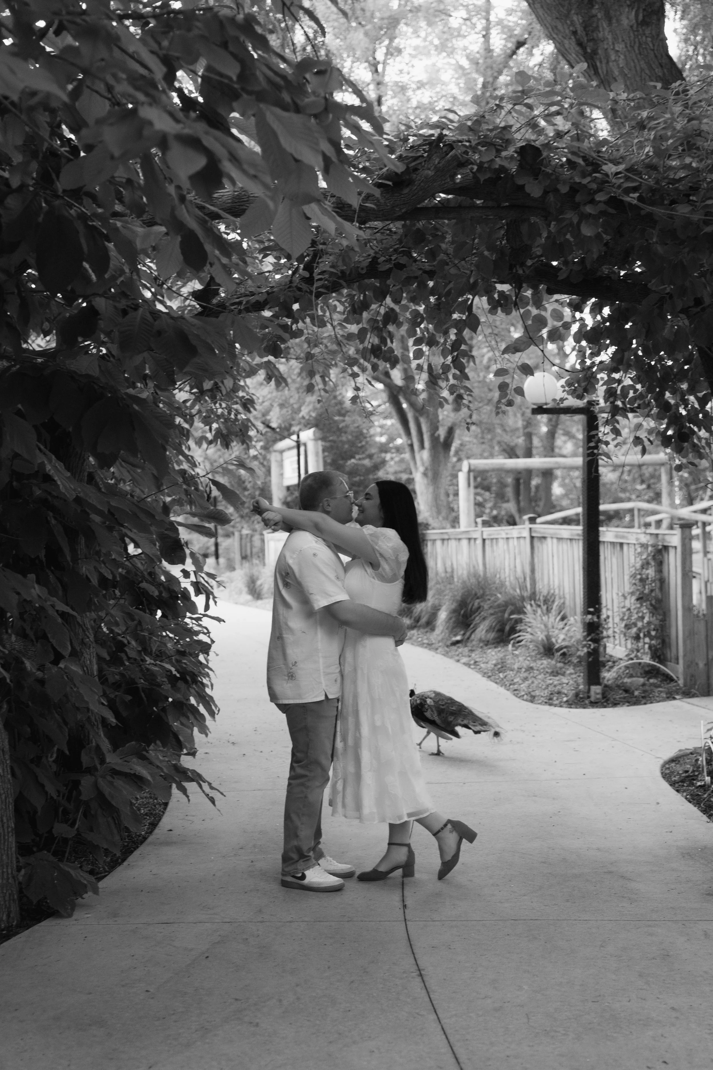 T-A_Engagement_126.jpg