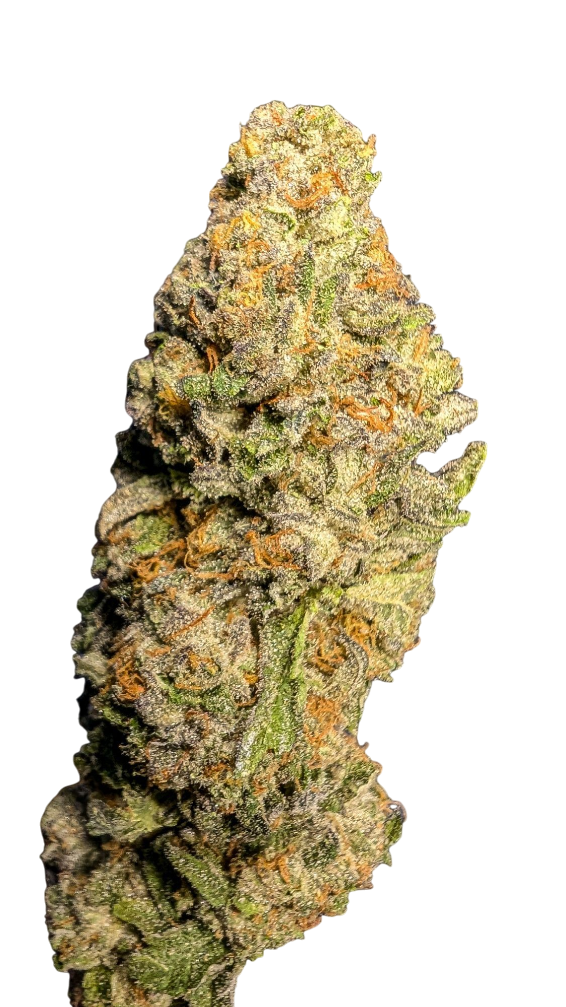 Durban Pie (1)-Photoroom.png