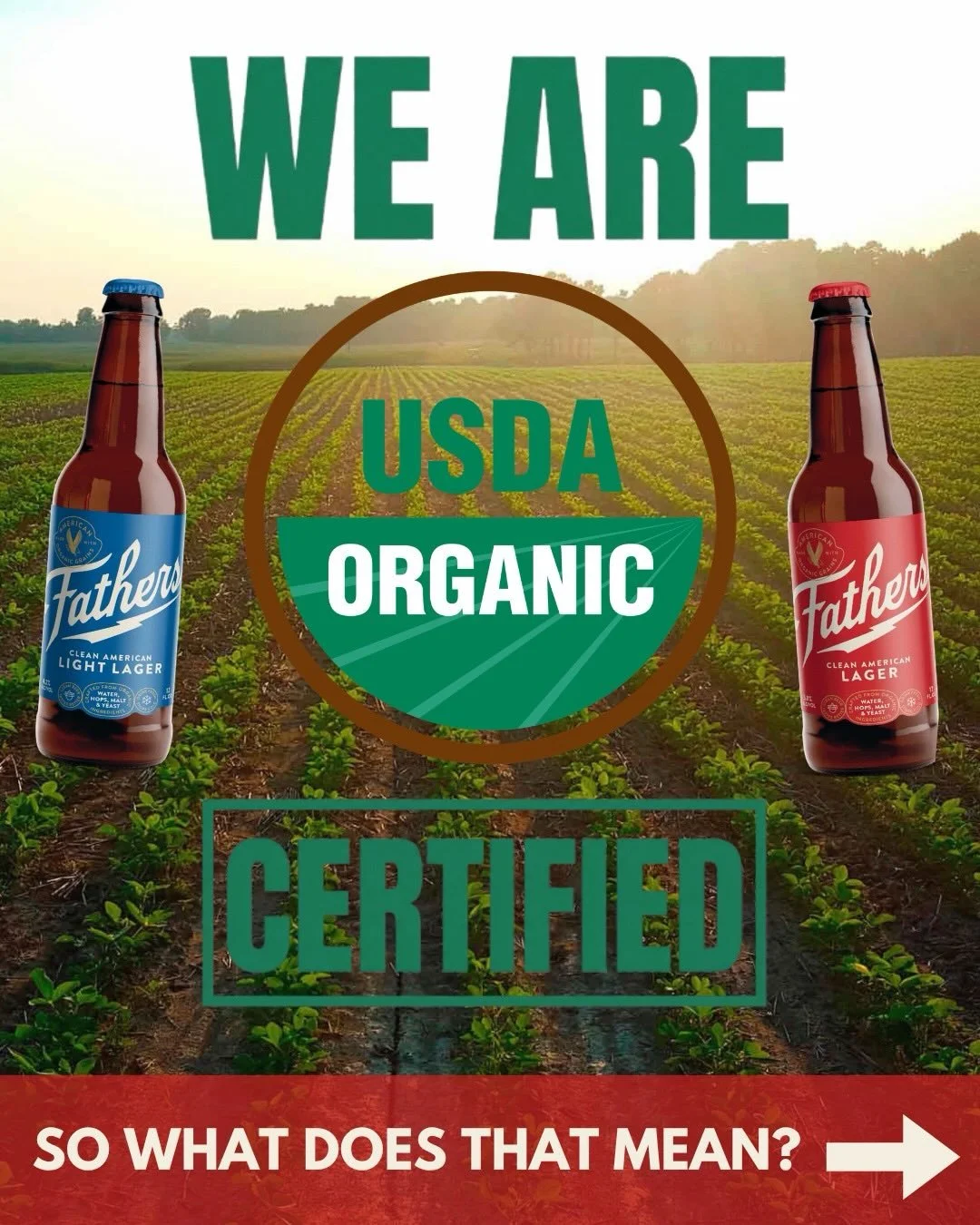 The cleanest beer you&rsquo;ll ever drink. Certified to prove it! 🍺✅
