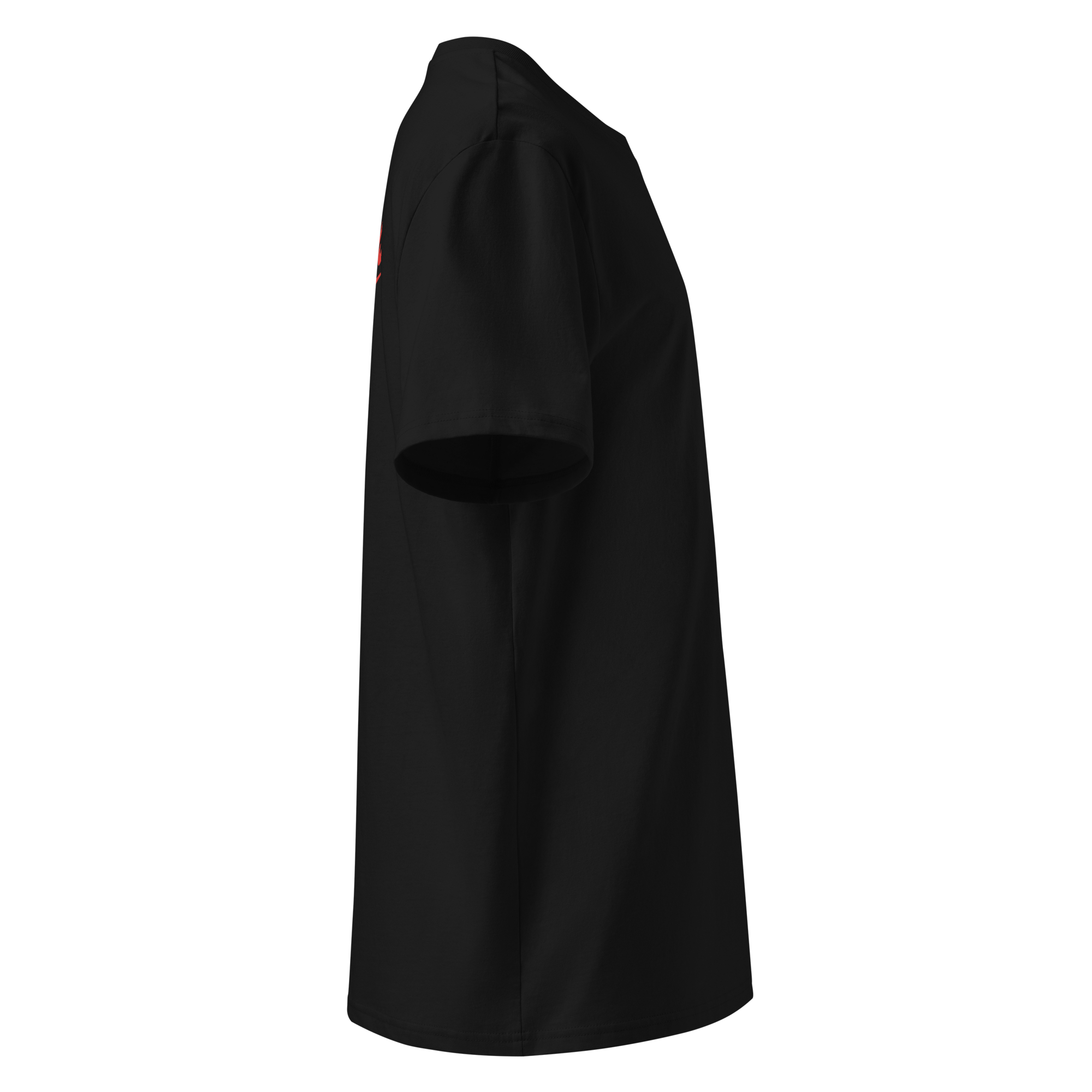 unisex-organic-ribbed-neck-creator-2.0-t-shirt-black-right-6ac0298ae70c0.png
