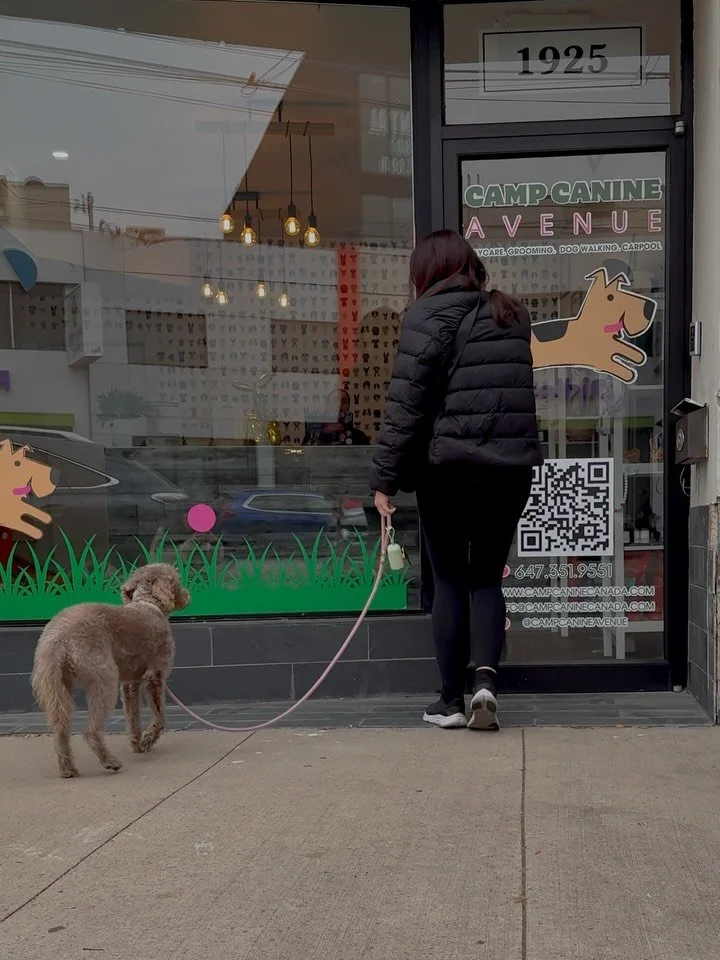 Camp Canine we are obsessed with you👏🏼💛

(even when we end up with pee on our leg🐾🤣)

📦: Social Media Content Shoot
👤: @campcanineforesthill @campcanineavenue