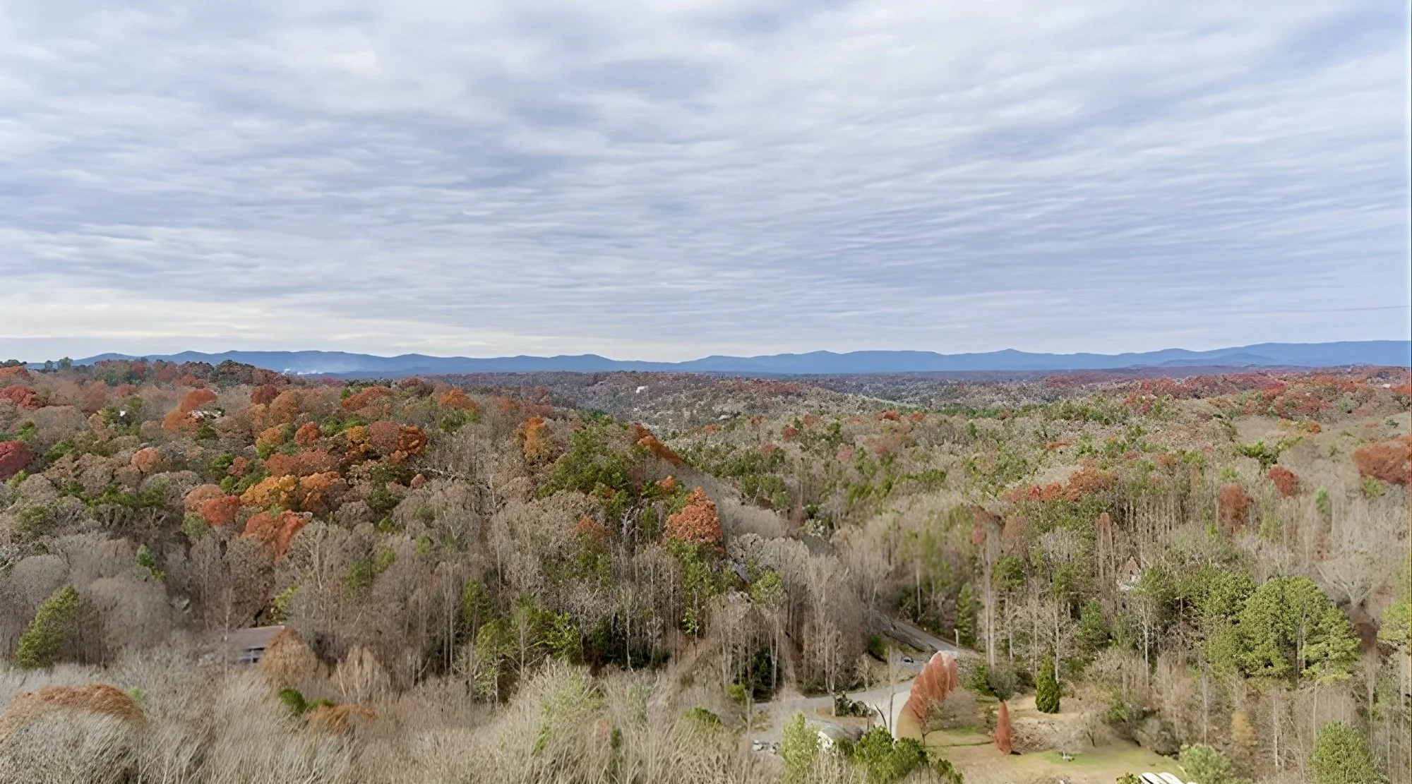 Untitled design - 13.jpg