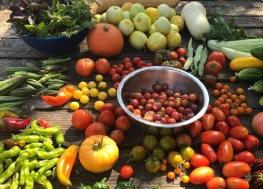 Urban Farm Spring Expo and Plant Sale