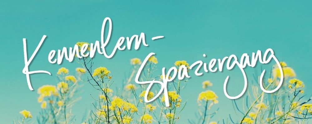 Kennenlern-Spaziergang Walk & Talk Coaching Fabienne Witschi - gelbe Blumen auf türkisem Hintergrund als Einladung zum kostenlosen Erstgespräch draussen in der Natur Schweiz