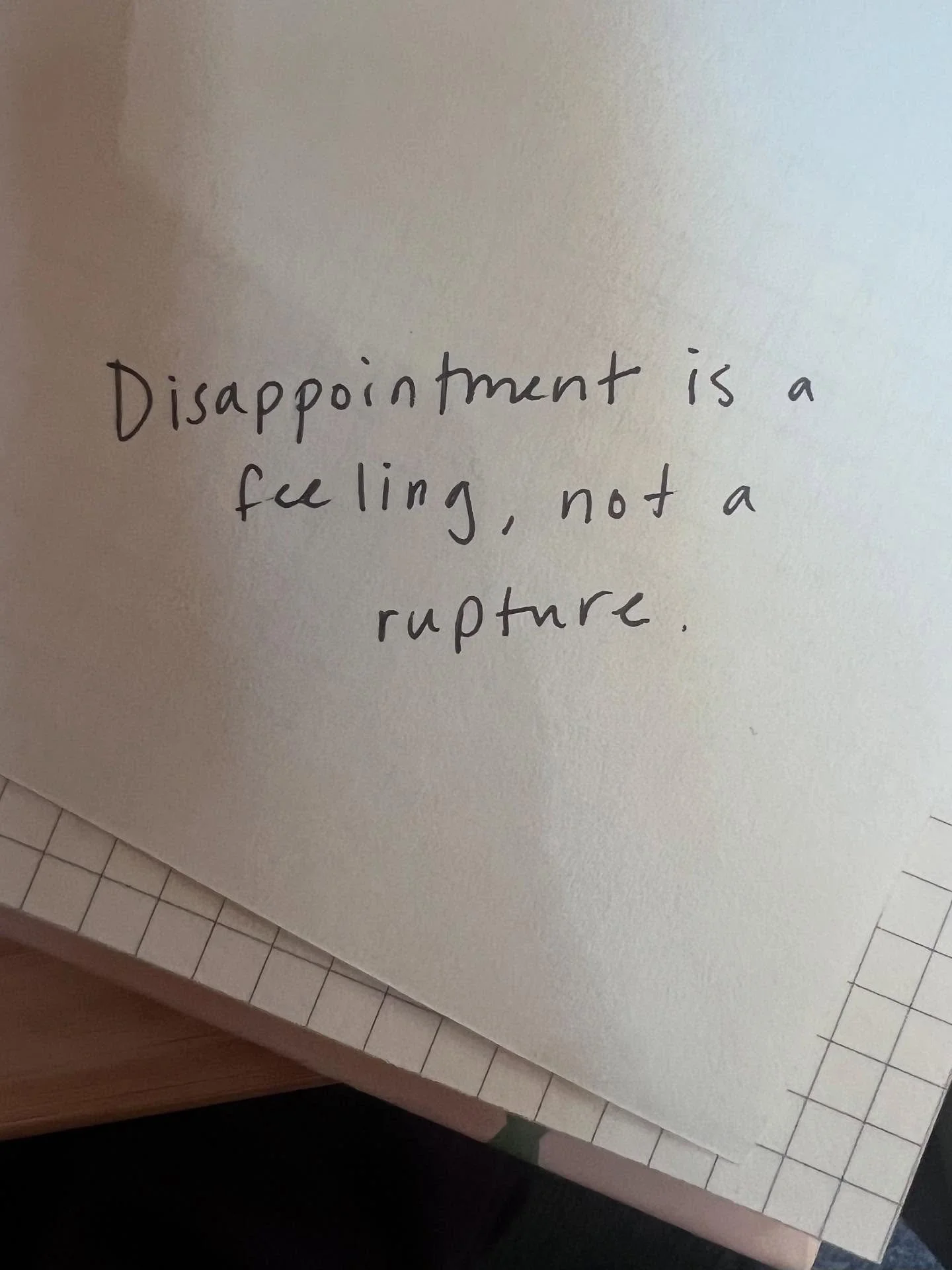 I found this in my journal today, and it&rsquo;s been a north star in my own inner work lately 💫

Many of us grow up with experiences where disappointment meant shame, withdrawal, loss of connection, sometimes even abandonment.
 For a child, that&rs