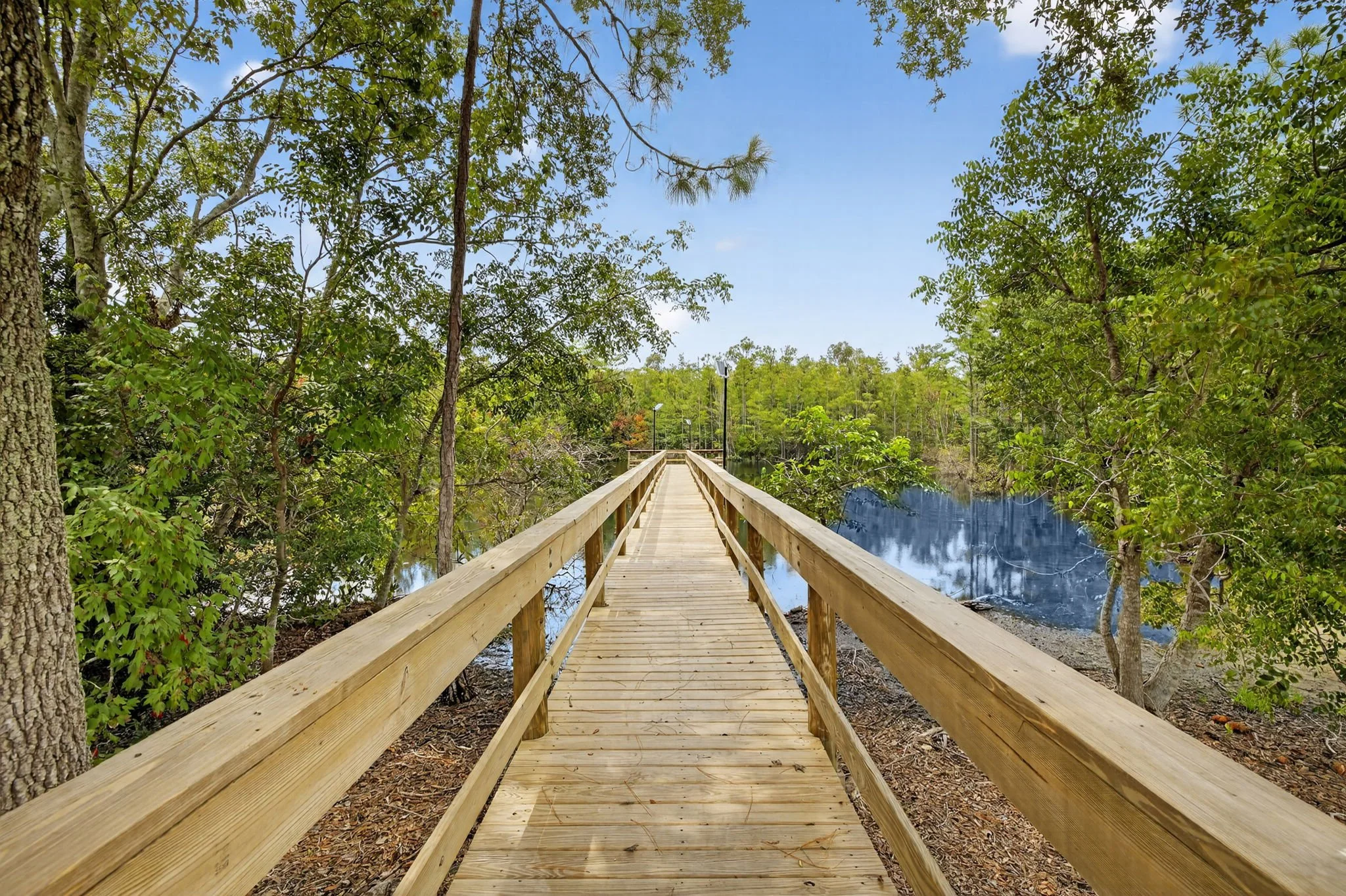 11650 Timberline Cir