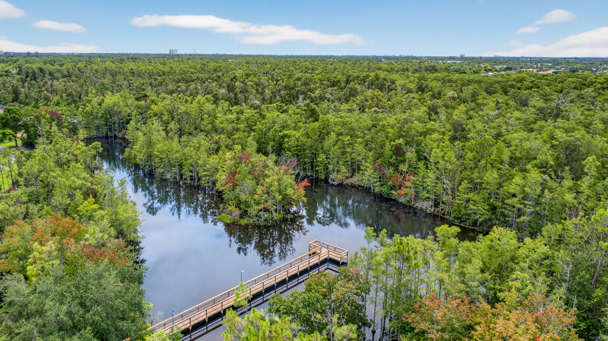 11650 Timberline Cir