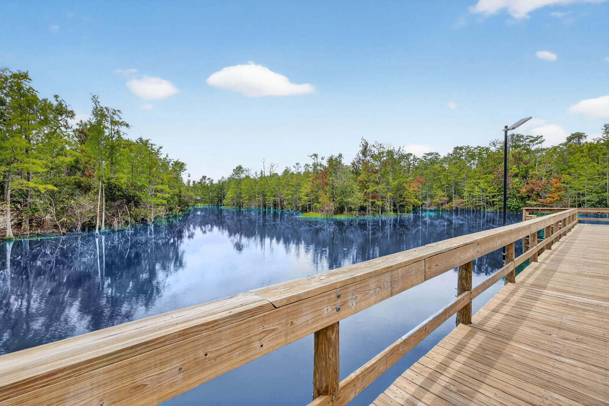 11650 Timberline Cir