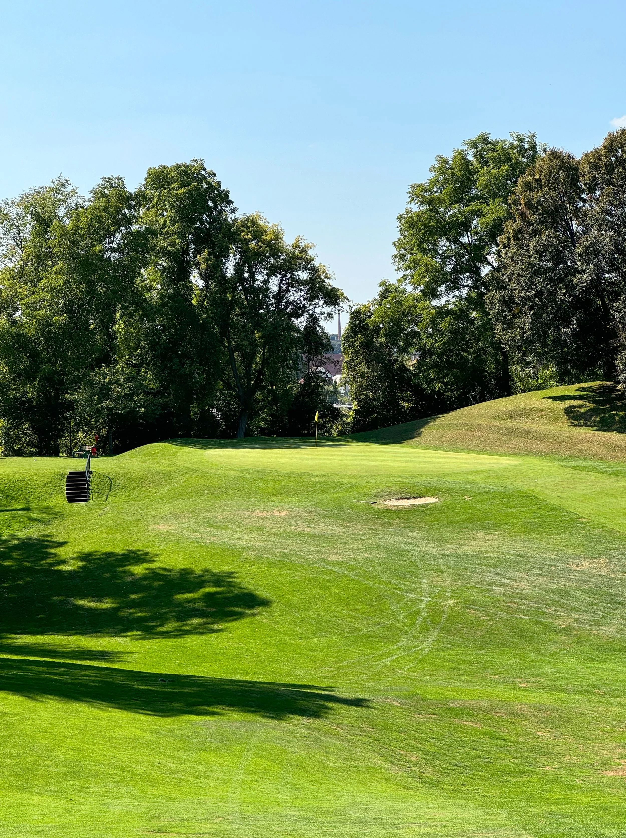 A golf course green with a flagstick, surrounded by trees, and a small staircase on the left side.