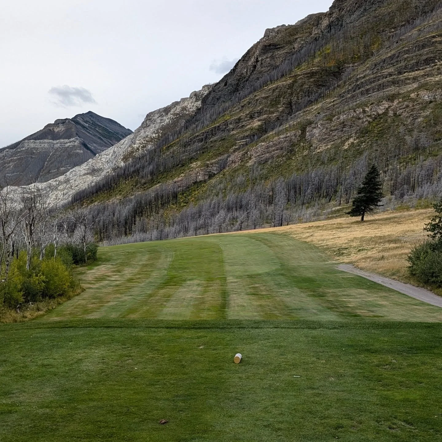 Here's a few shots from @watertonlakesgolfcourse for @golf_culture1 - with the first and second photos showcasing the banked fairway of the par 4 16th.

The third photo is of the par 4 14th which also features a slightly banked fairway set against th