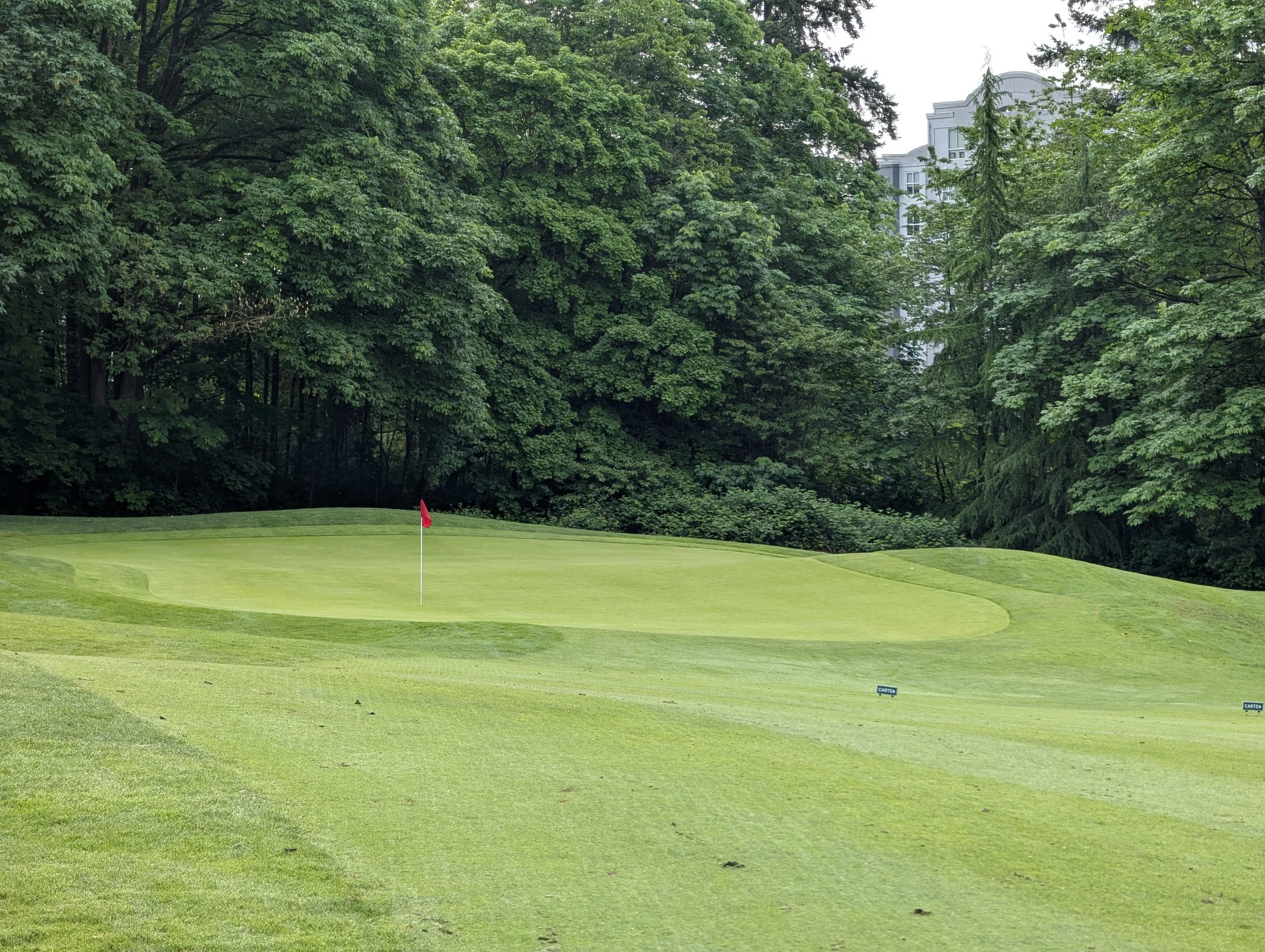 PXL_20260509_151007607.jpg