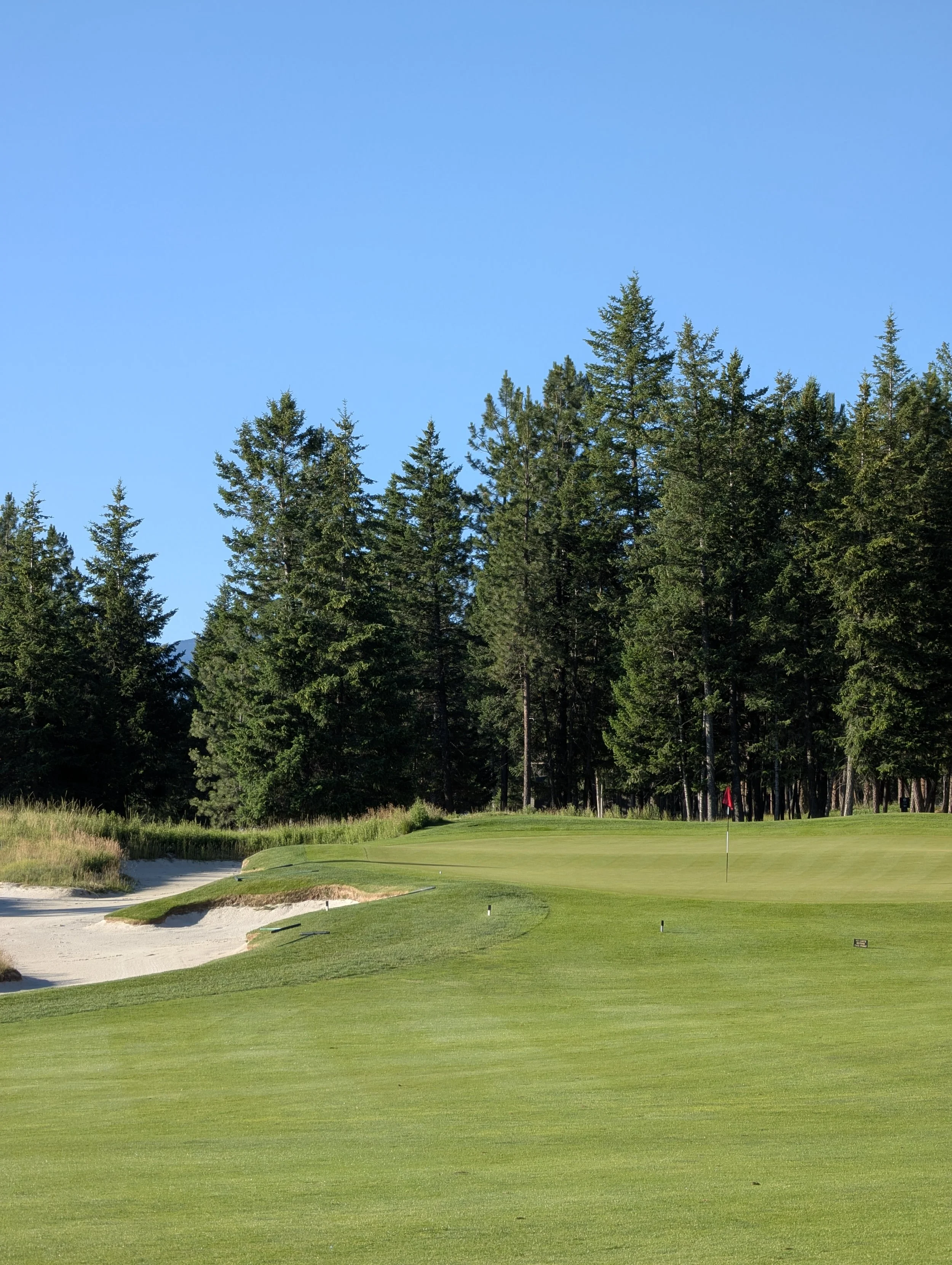 A golf course with a green, flag, and sand bunker surrounded by trees under a clear blue sky.
