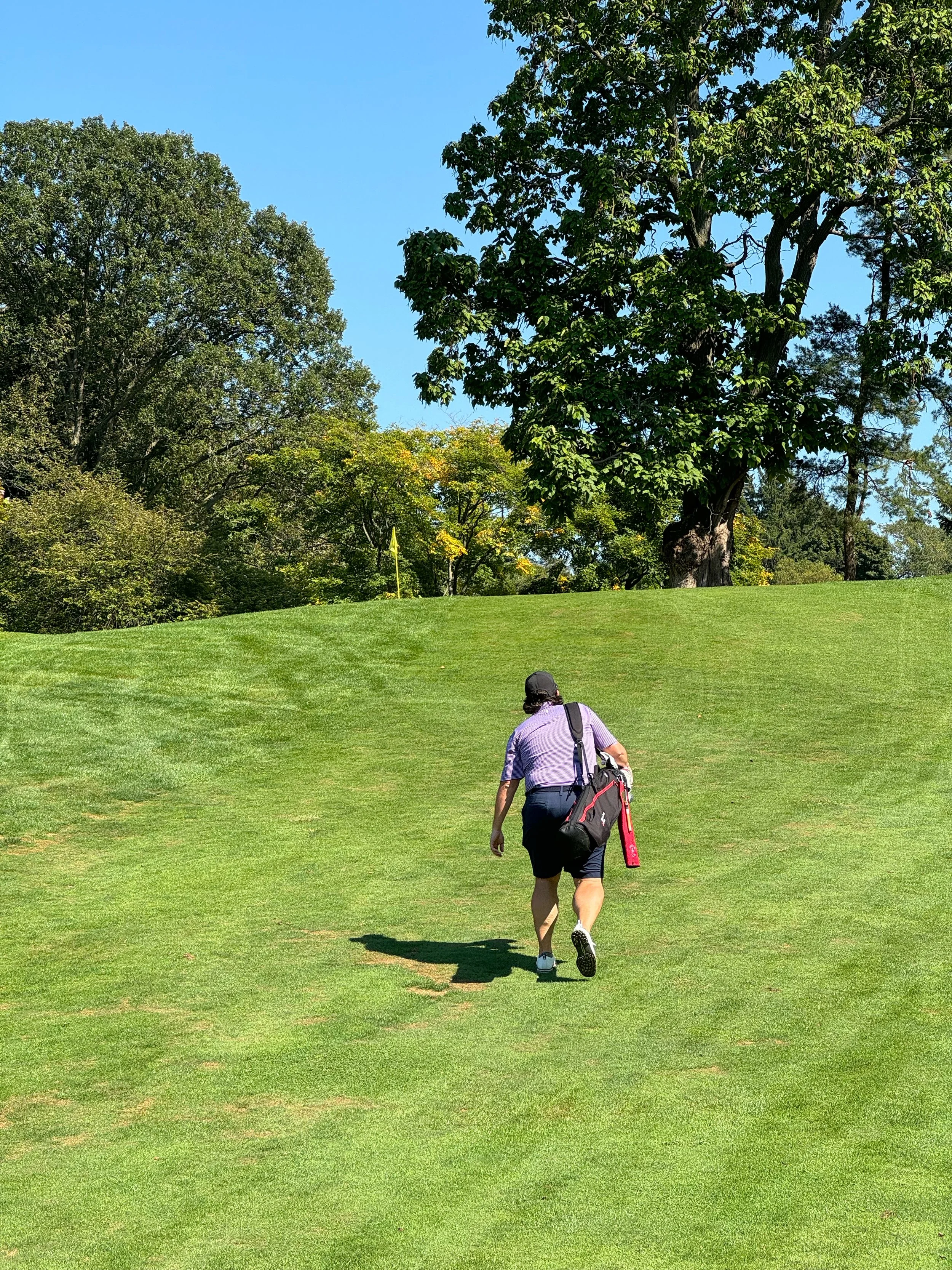 A person wearing a purple shirt, black shorts, and a black cap walking up a grassy hill on a golf course, carrying a golf bag over their shoulder, with trees and blue sky in the background.