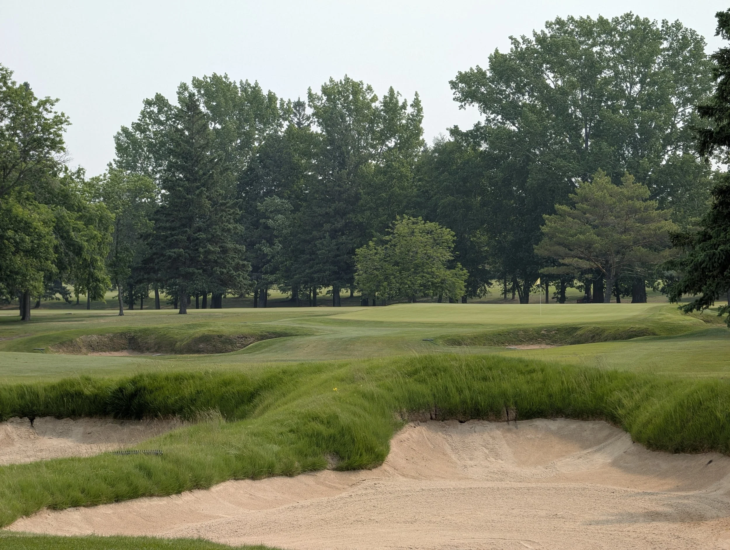 A golf course with a green, a flag, and sand bunkers, surrounded by tall trees.