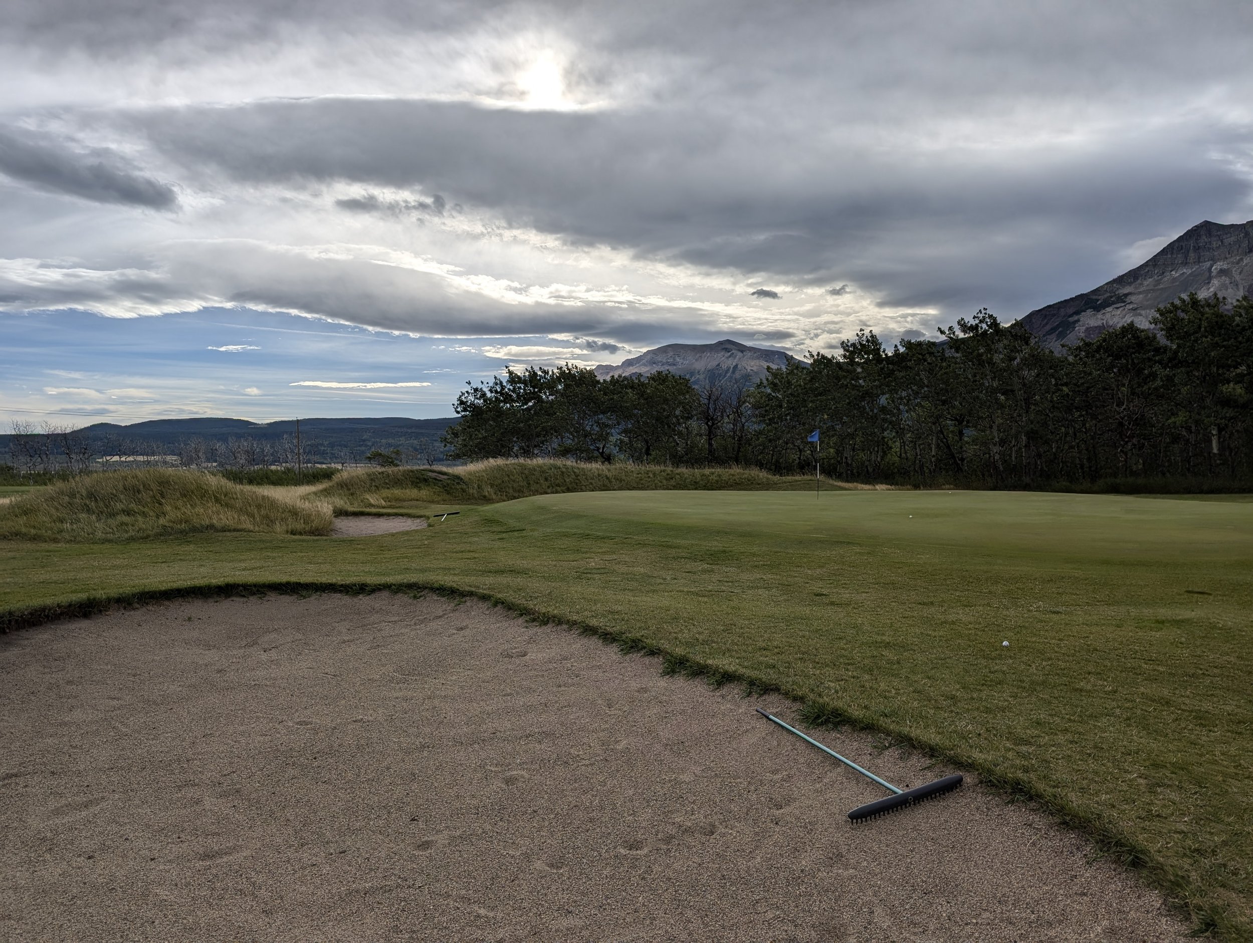 close up view at 3rd green