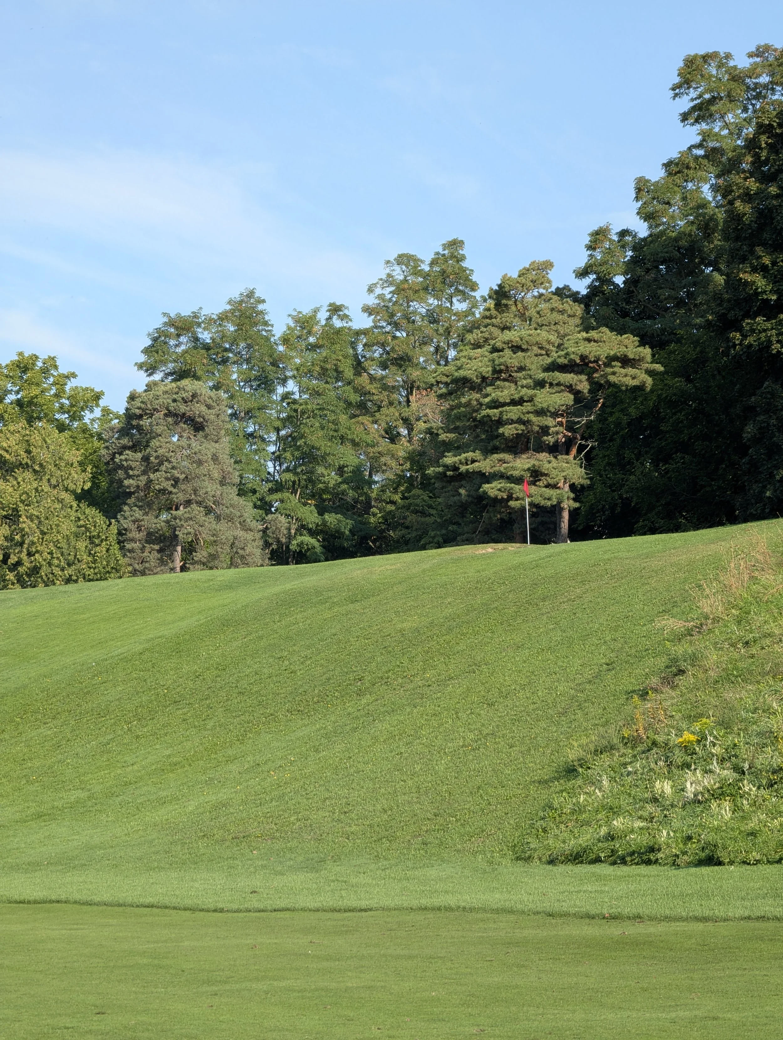 Golf course with green grass, a flag on the green, and trees in the background under a clear blue sky.