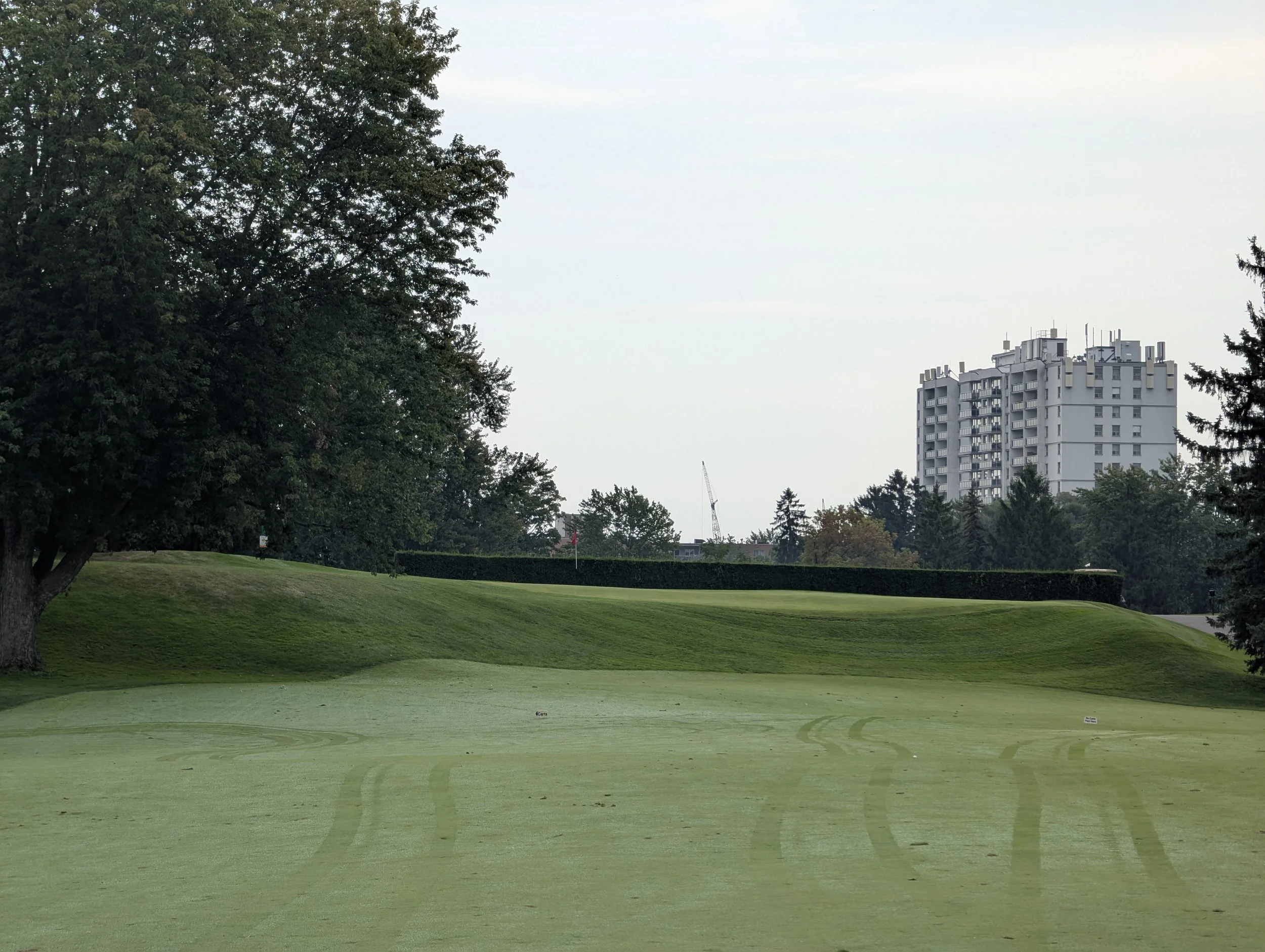 A golf course with green grass, trees on the left side, and a cityscape with tall buildings and a crane in the background.