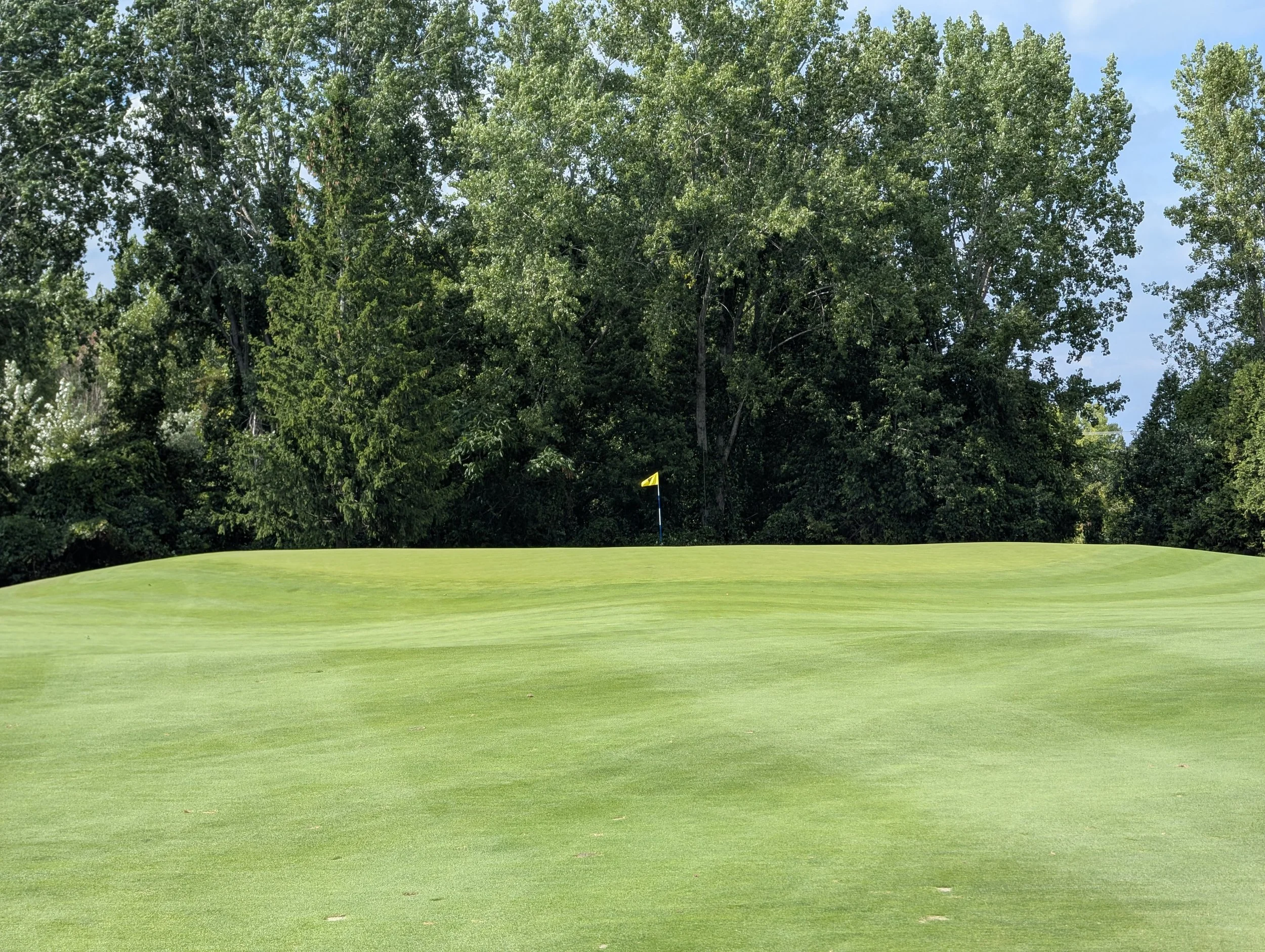 A golf course green with a yellow flag on the hole, surrounded by trees in the background, under a partly cloudy sky.