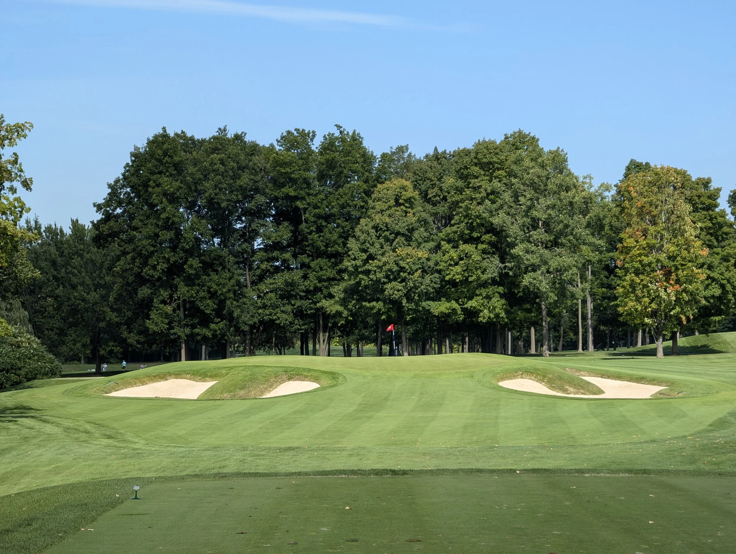 A golf course with a putting green, surrounded by sand bunkers, and a flag indicating the hole, with tall trees and a blue sky in the background.