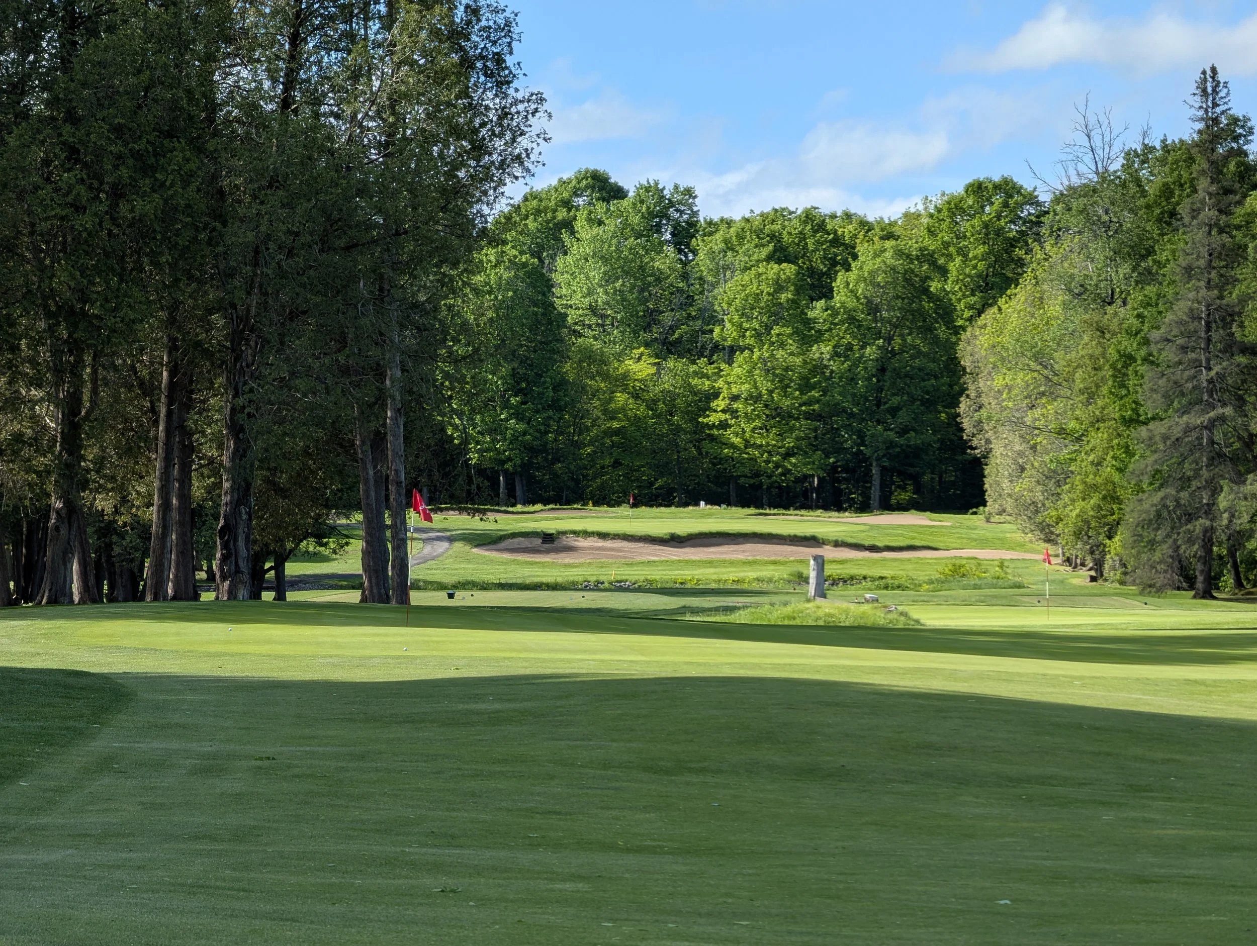 A golf course green with a flagstick, surrounded by trees under a partly cloudy sky at sunset.
