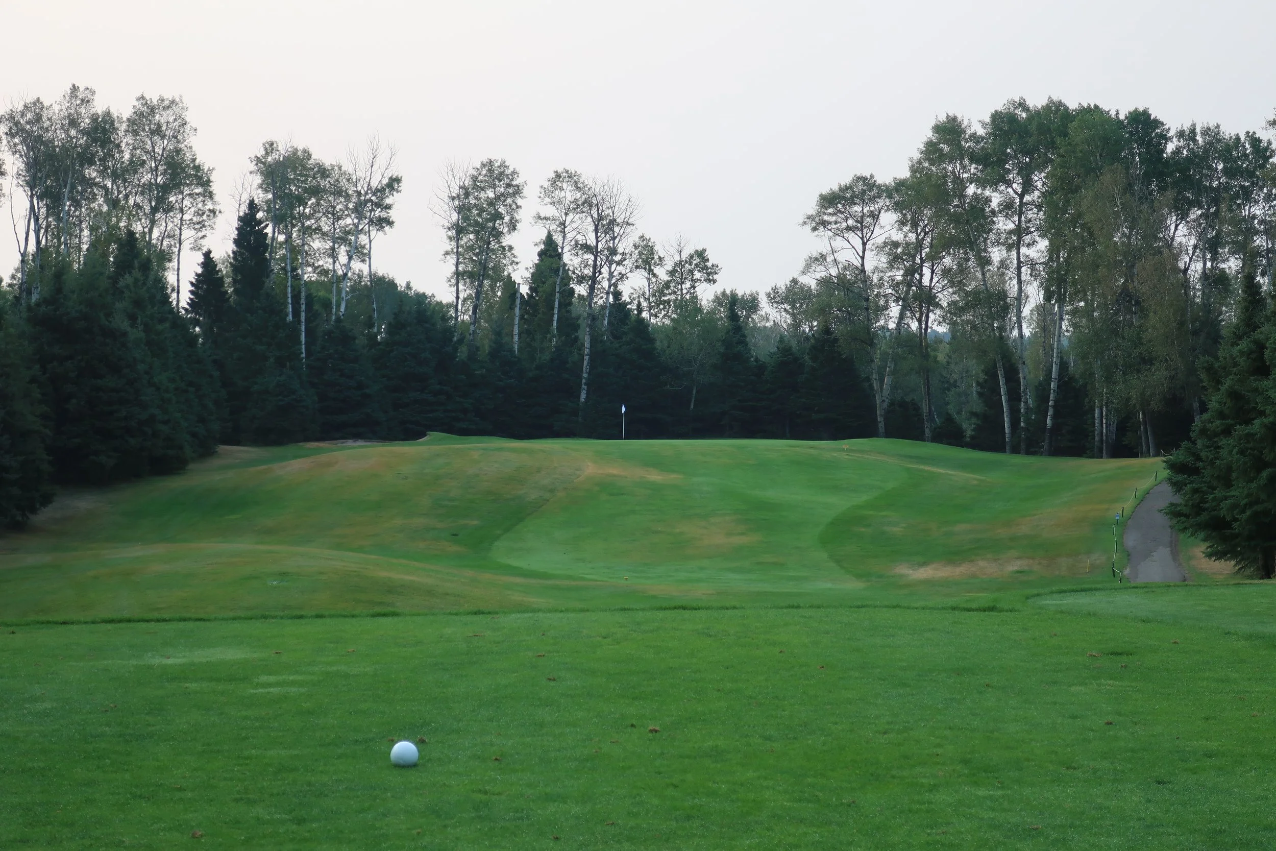 A golf course with a white golf ball on the green, a flag in the distance, and surrounded by trees.