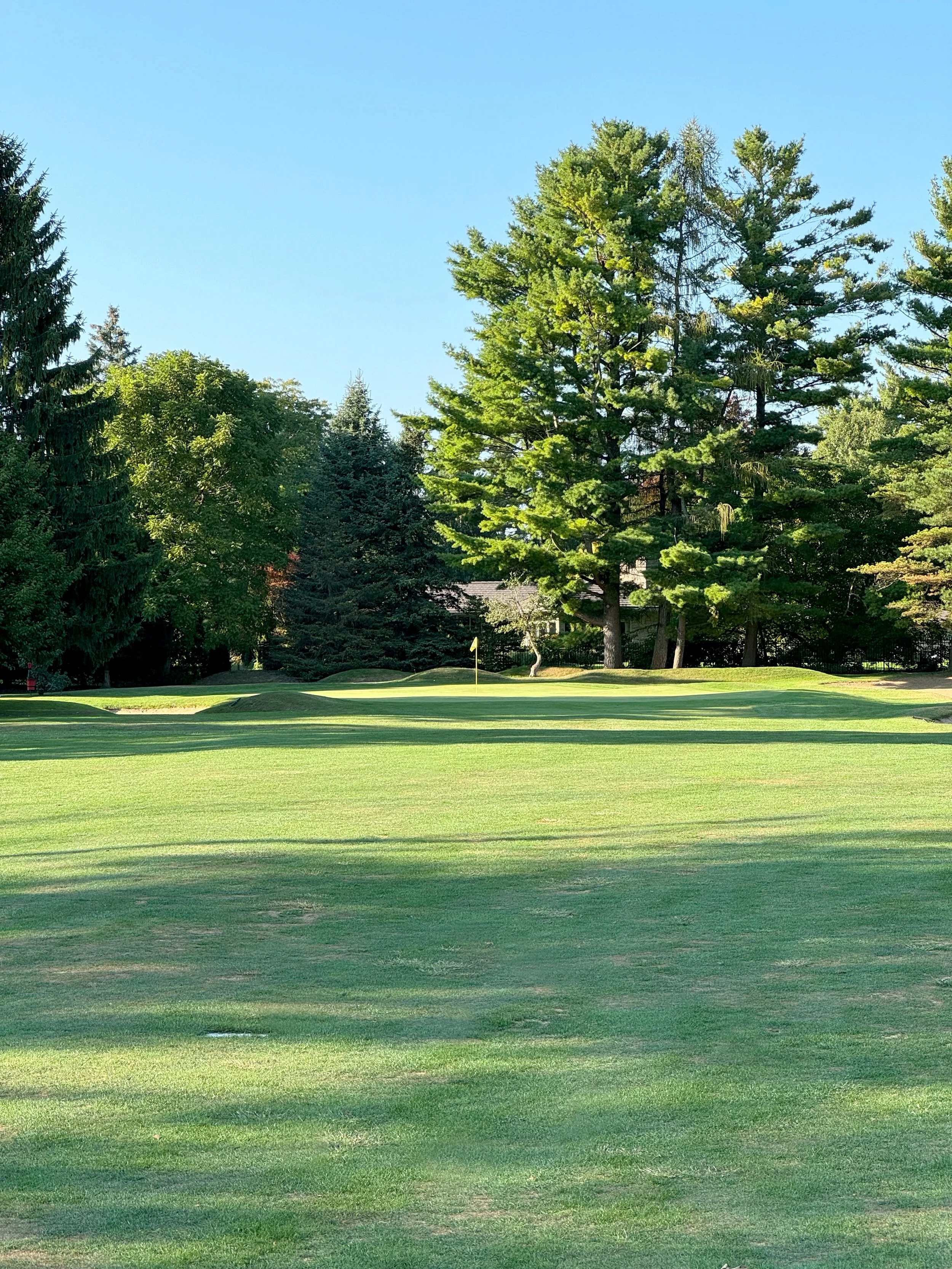 A golf course with a green, trees in the background, and a blue sky.