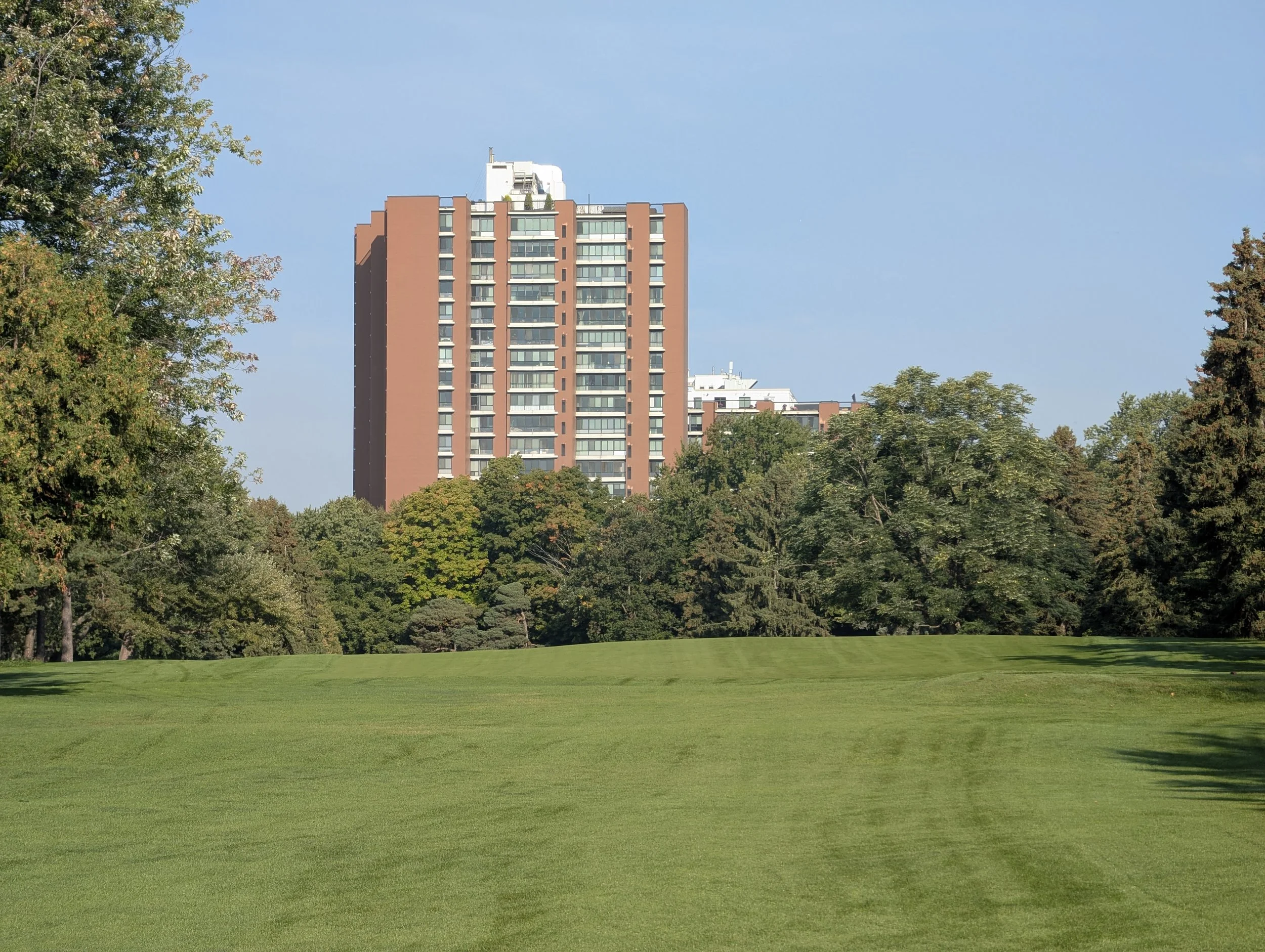A lush green lawn with trees in the background and tall residential buildings behind the trees, under a clear blue sky.