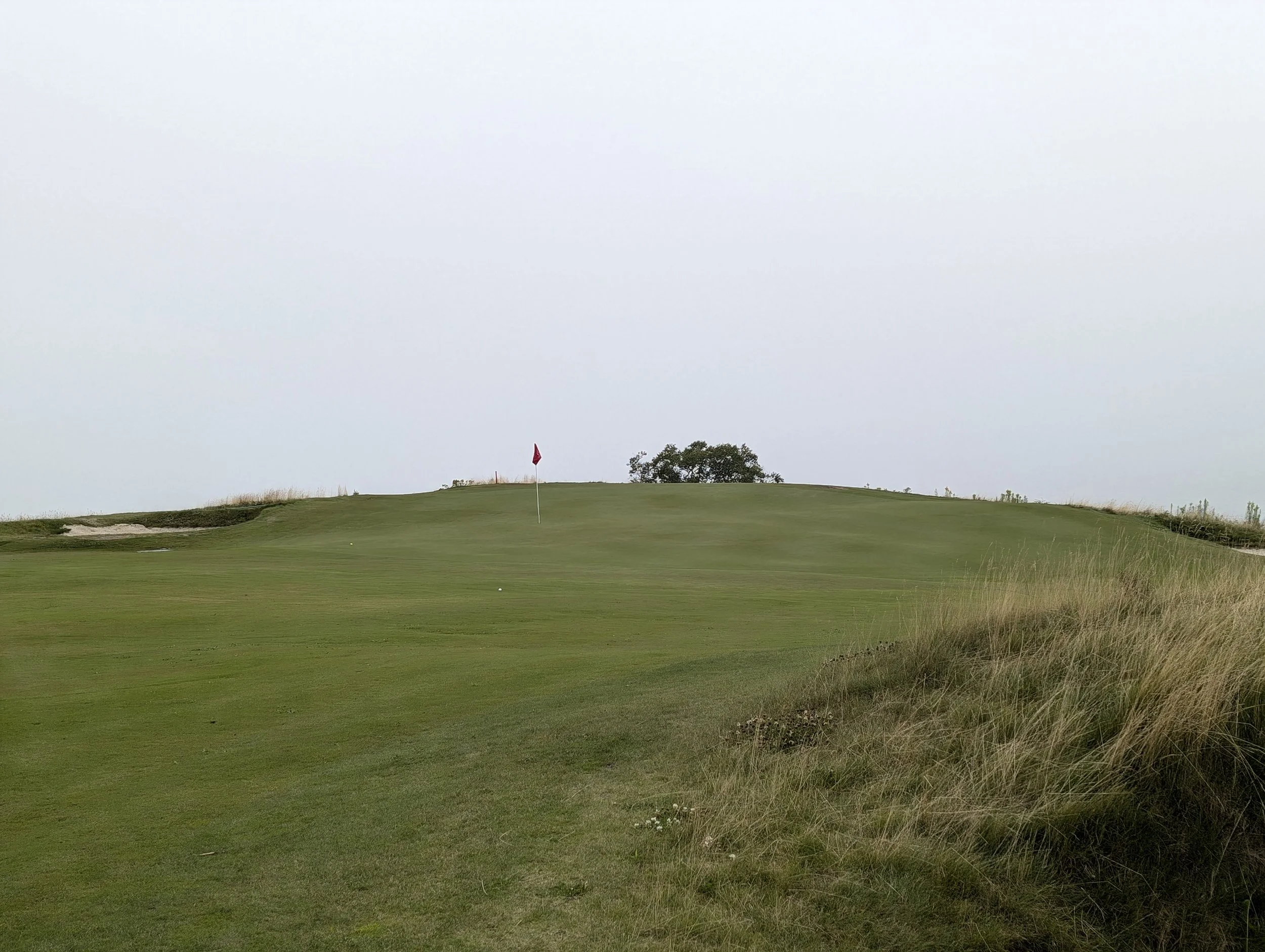 Green site at par 5 11th