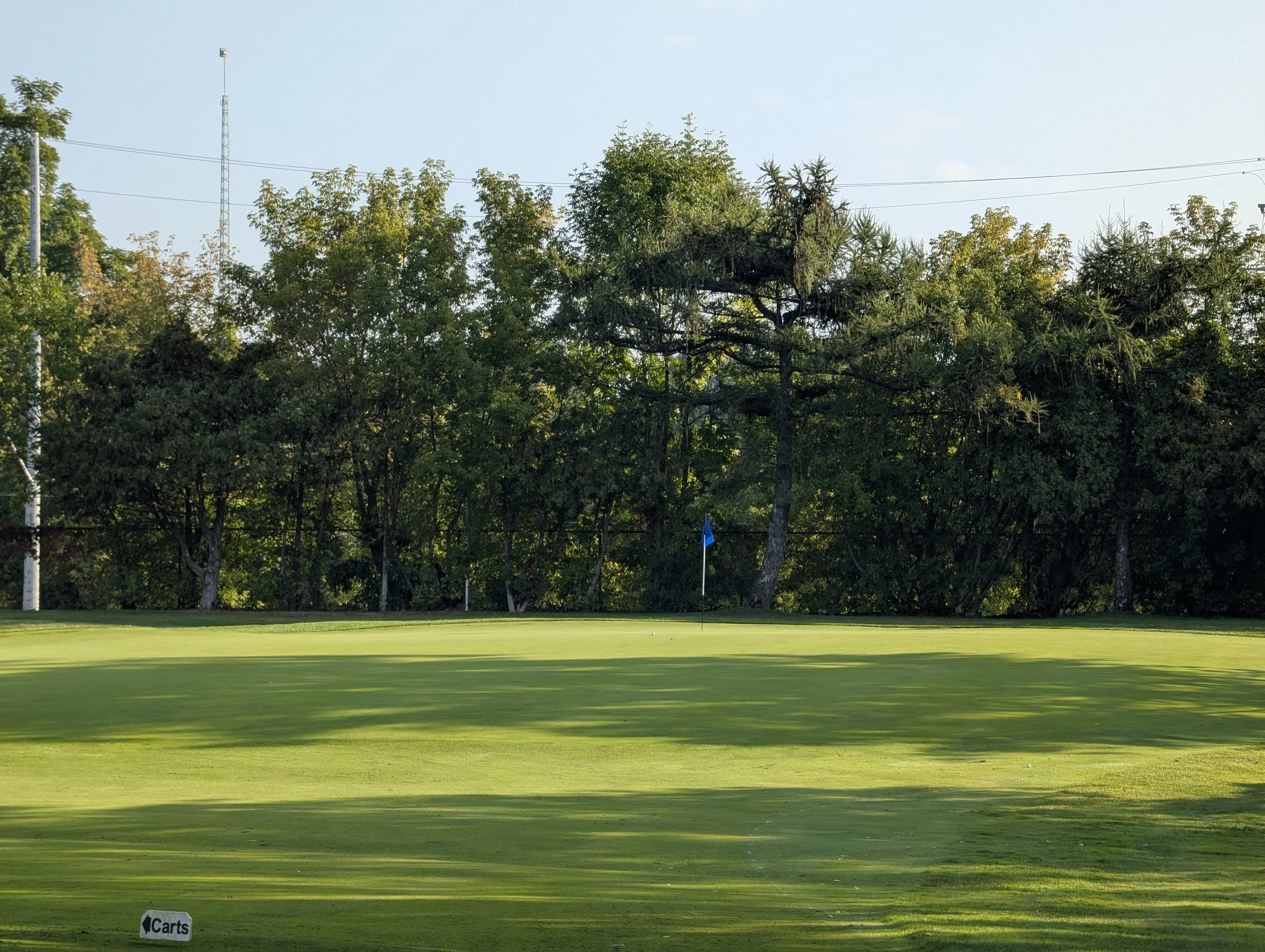 A golf course green with a flagstick near the center, surrounded by trees and shadows, and a sign in the lower left corner indicating caddies or carts.