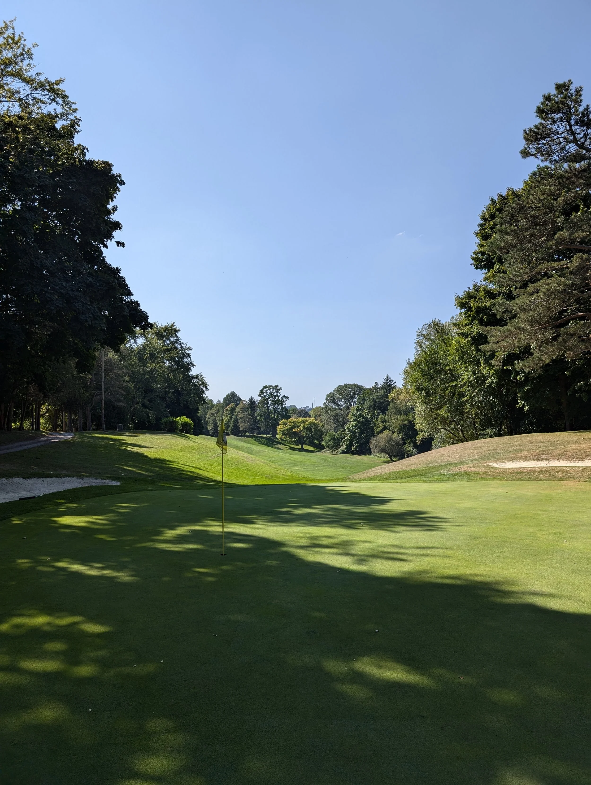 A golf course green with a flagstick, surrounded by trees and shadows, under a clear blue sky.