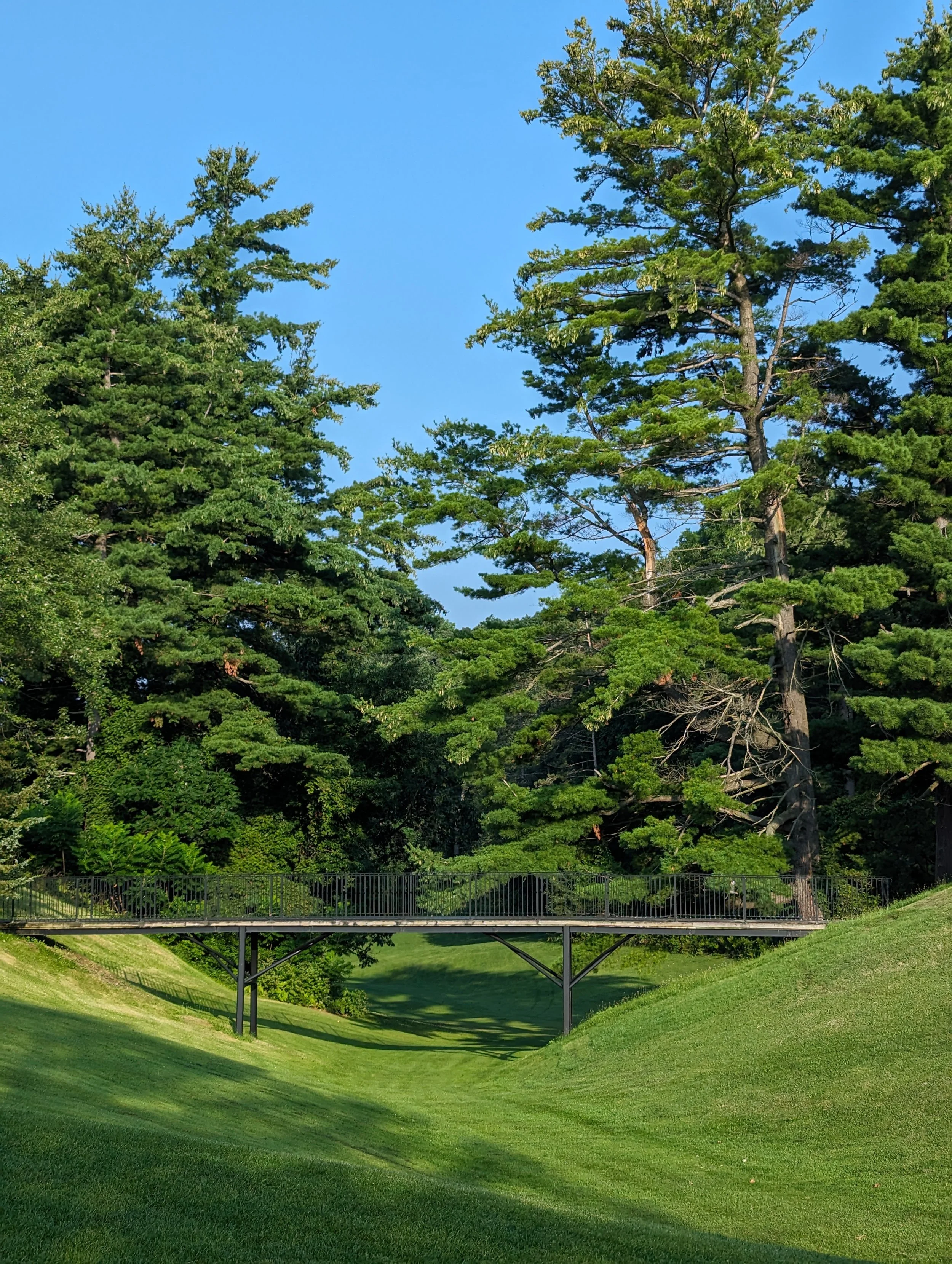A park scene with a small bridge crossing a grassy valley, tall green trees, and a clear blue sky.