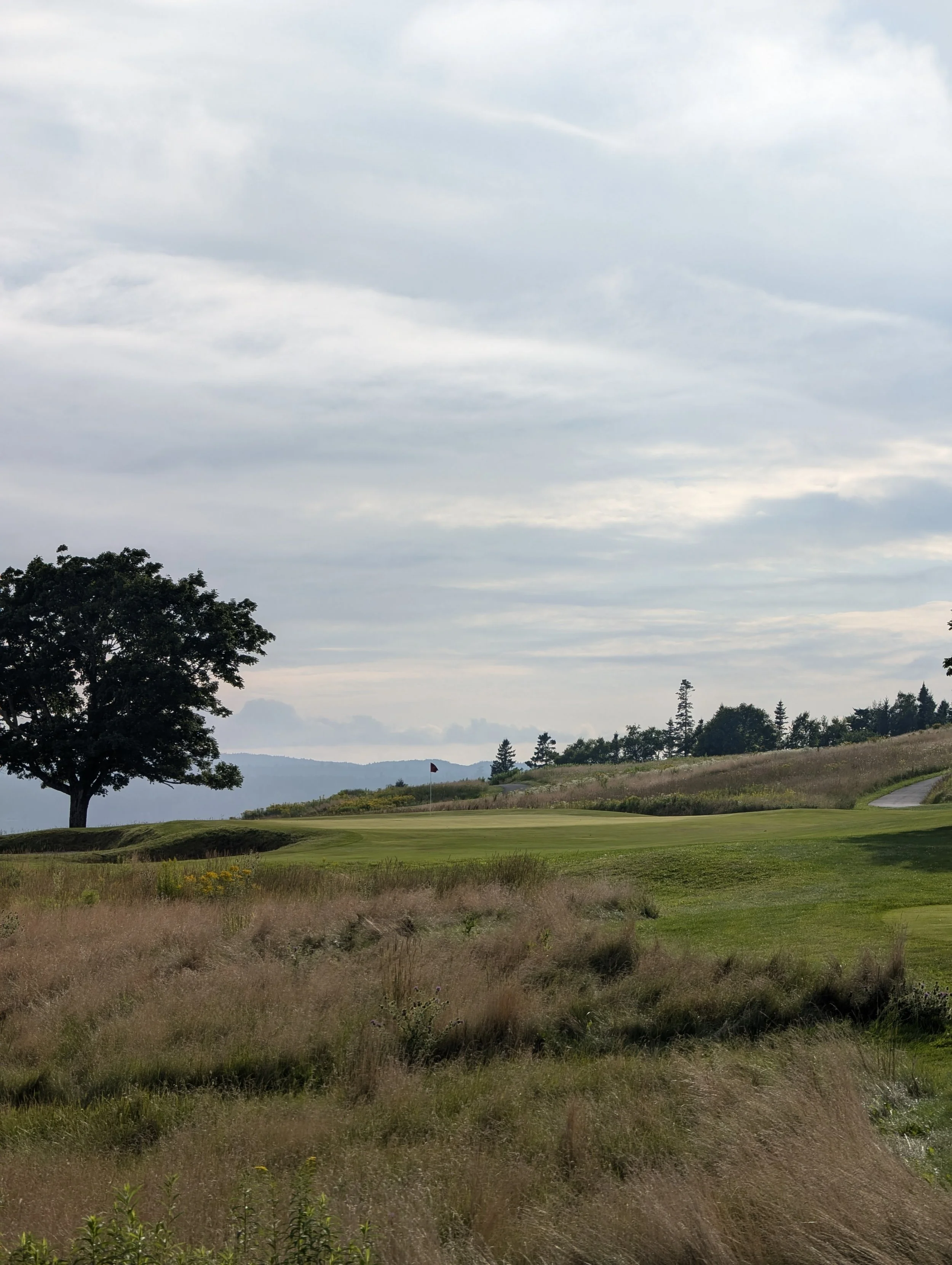 Rambunctious and unique set of par 3 highlight The Algonquin's architectural prowess - like the 14th shown here