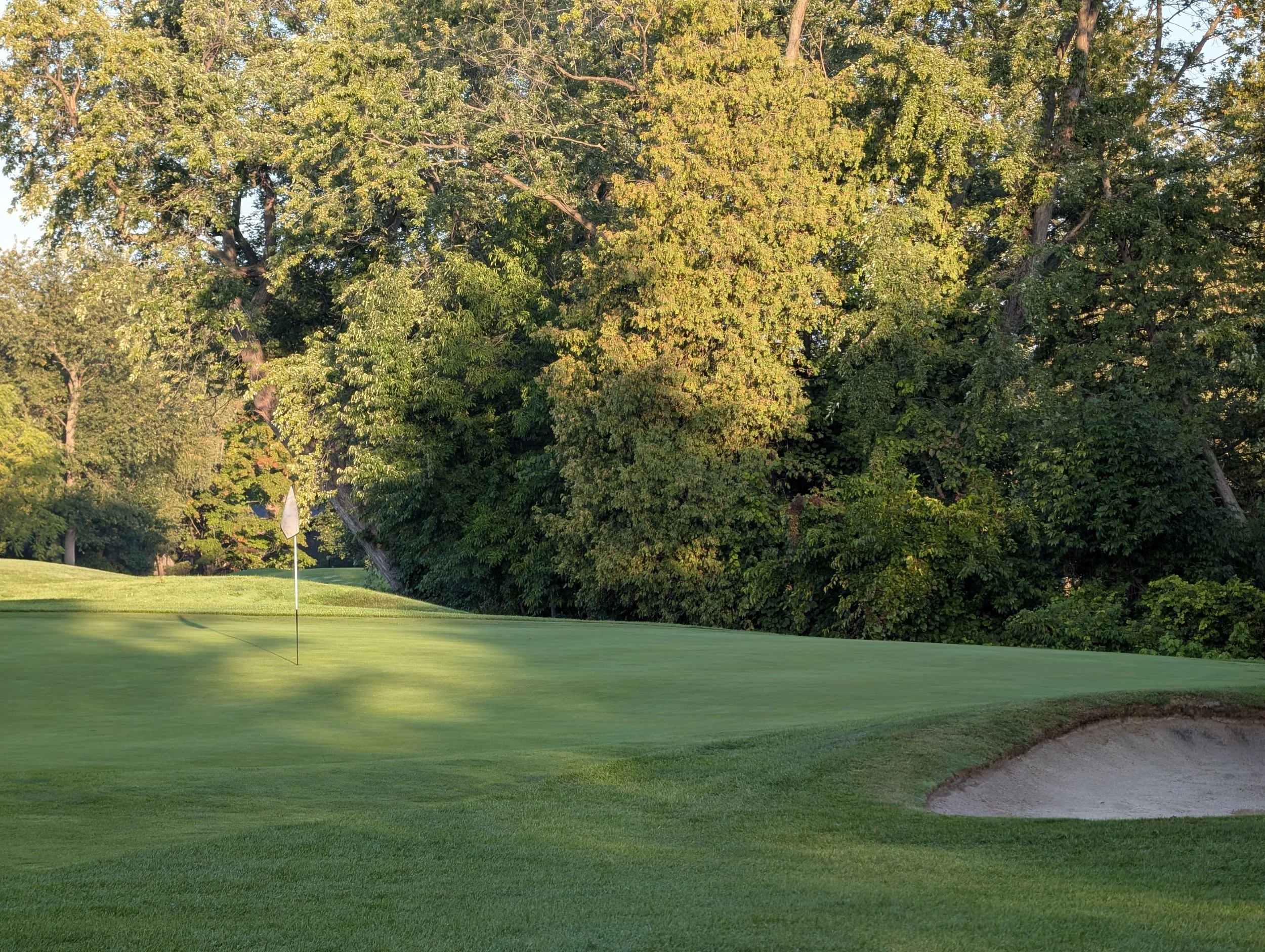 A golf course green with a flagstick and sand bunker, surrounded by trees with green and yellow foliage.