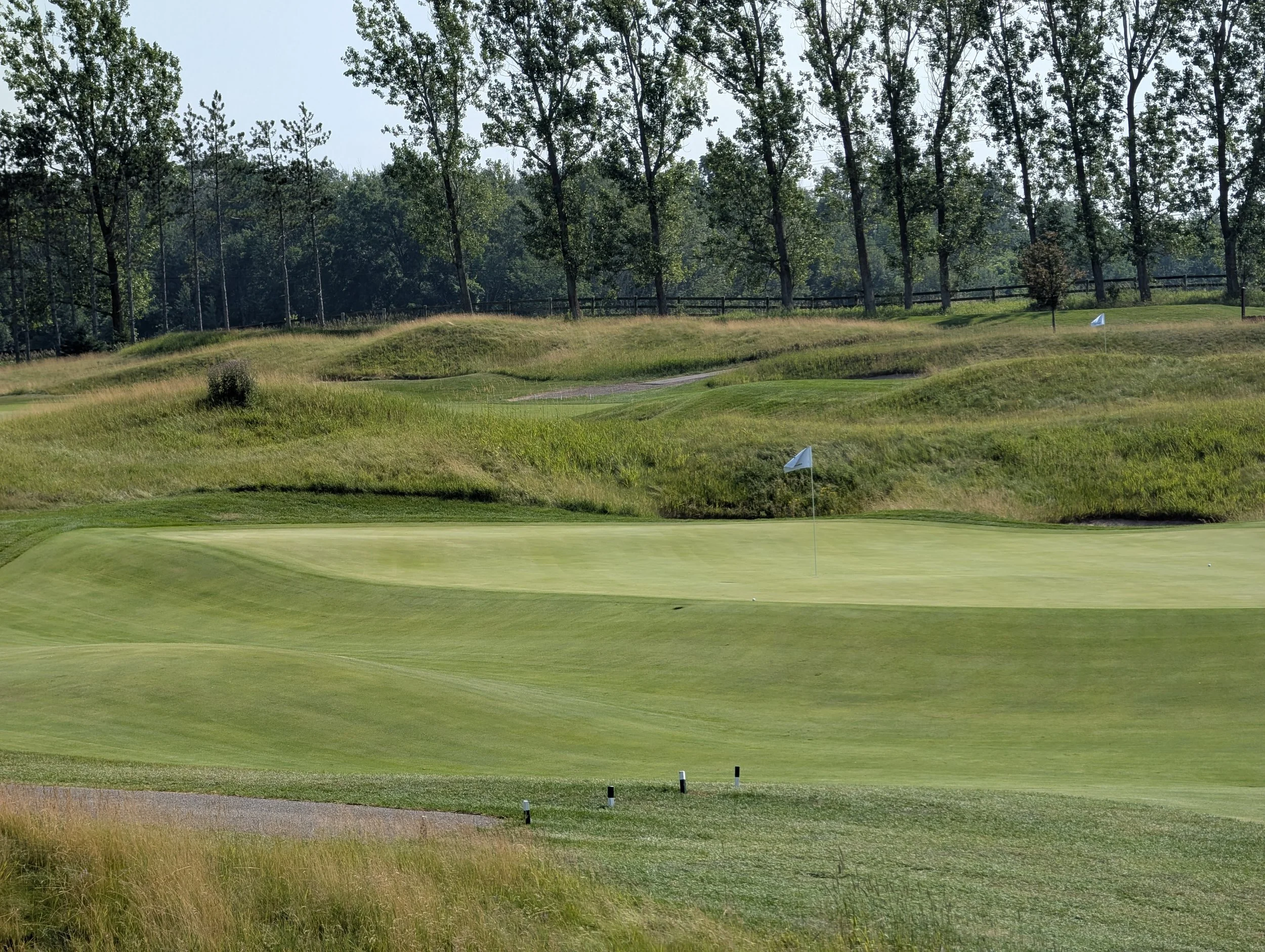 Close up view of the wonderful short grass surrounds of the 13th