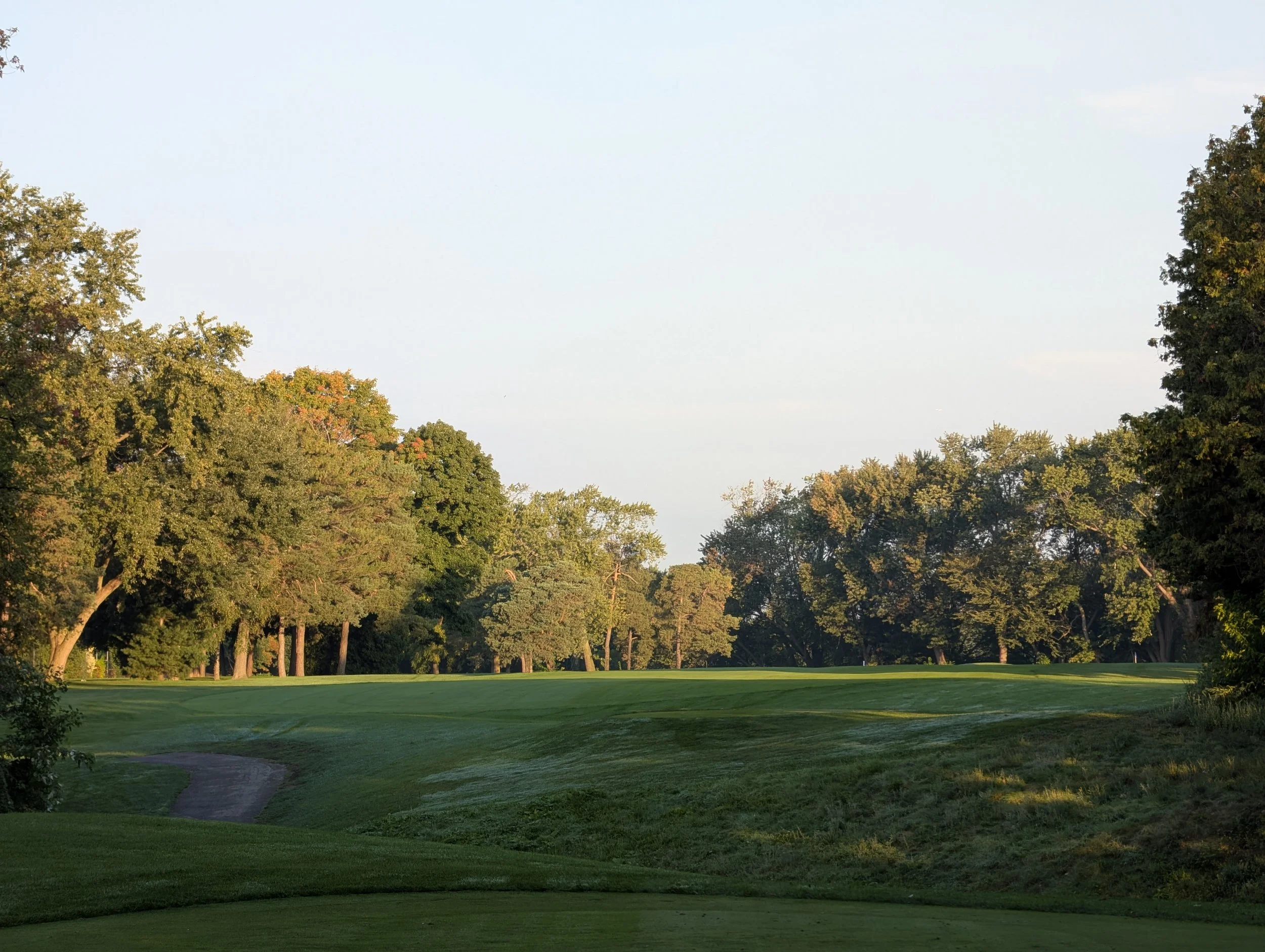 A golf course with green fairways and tall trees lining the edges, under a clear sky in the early morning or late afternoon.