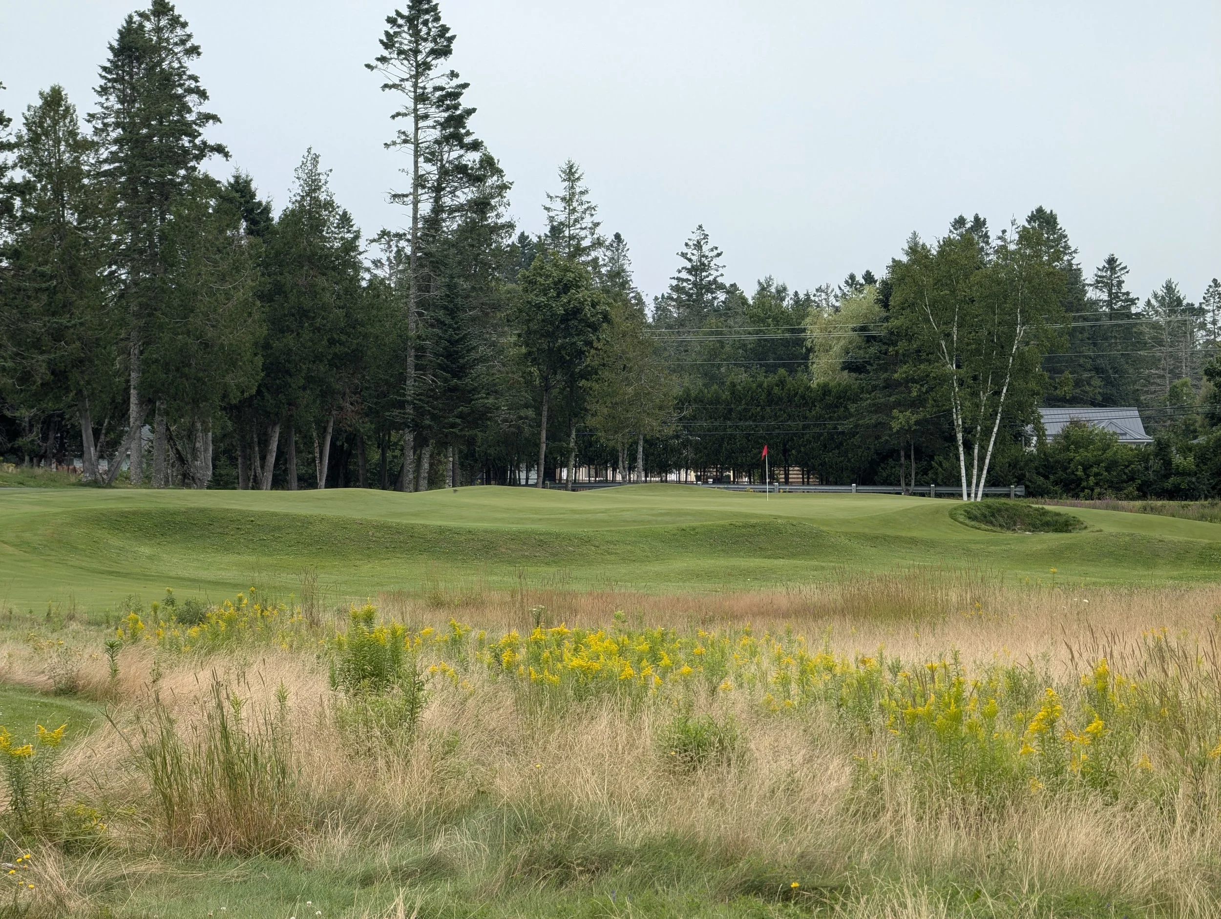 Rumpled terrain of the lovely par 3 third