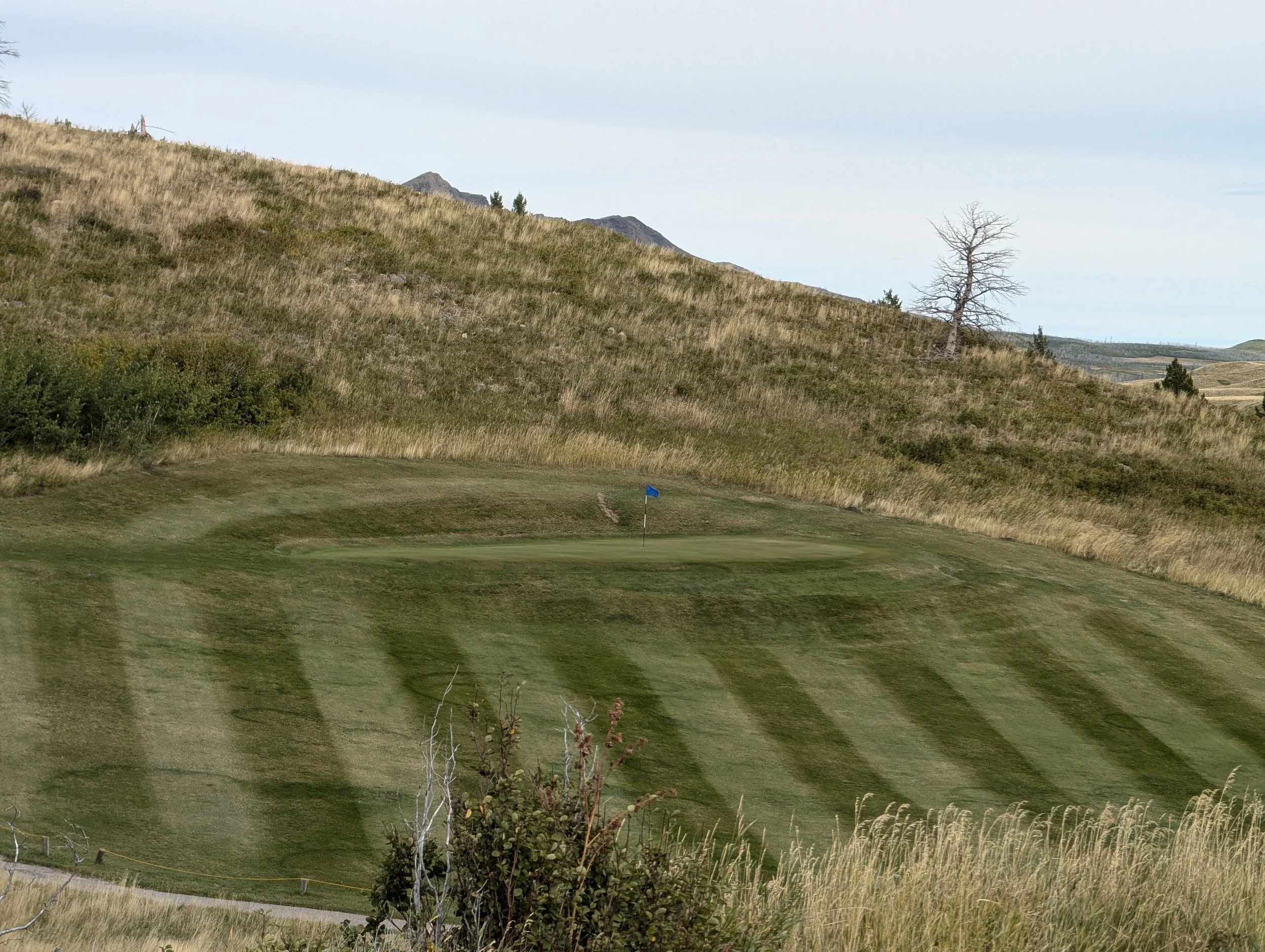 Small green at the par 3 13th