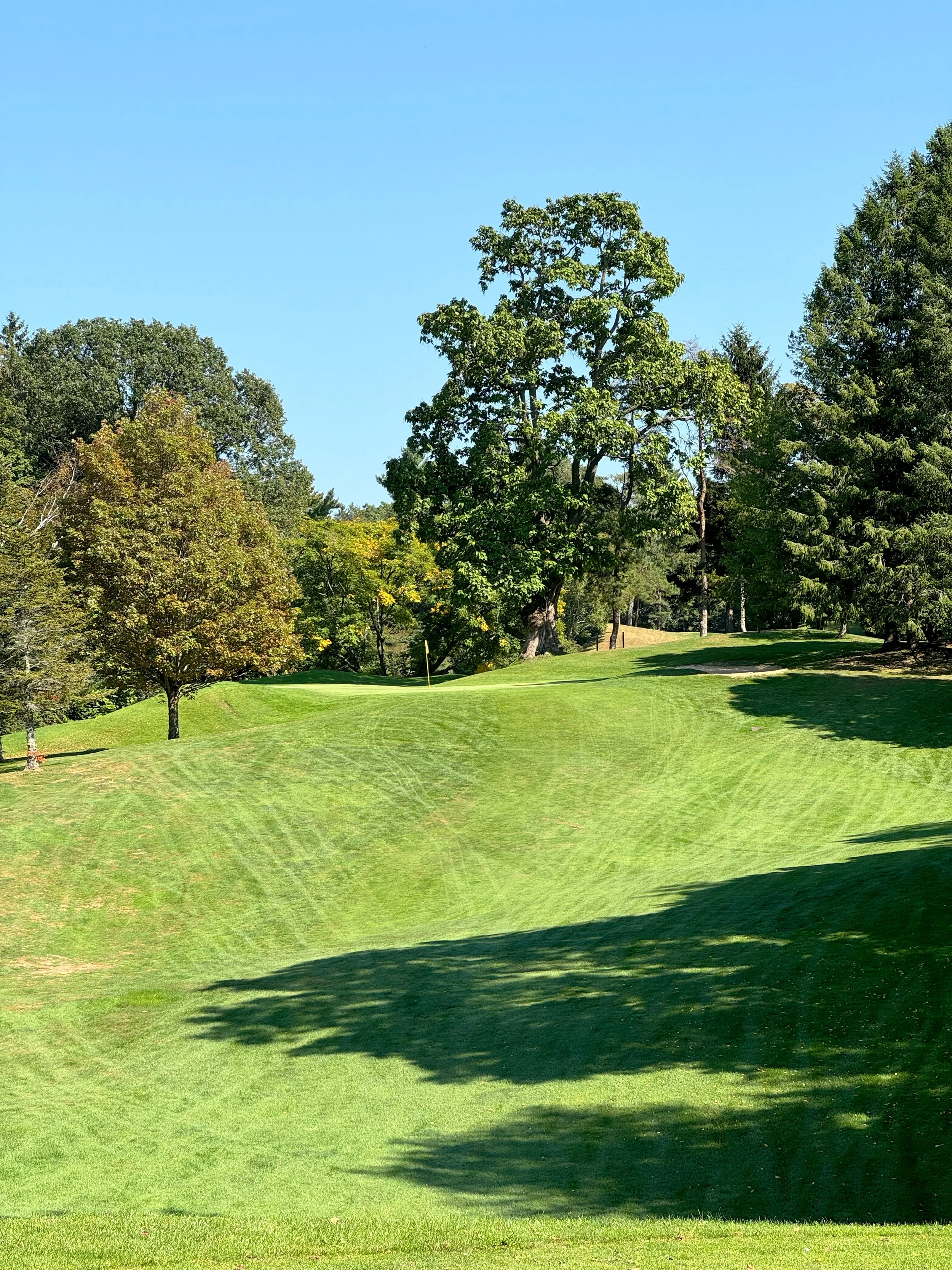 A lush, green golf course with a sand trap, surrounded by trees with a clear blue sky overhead.