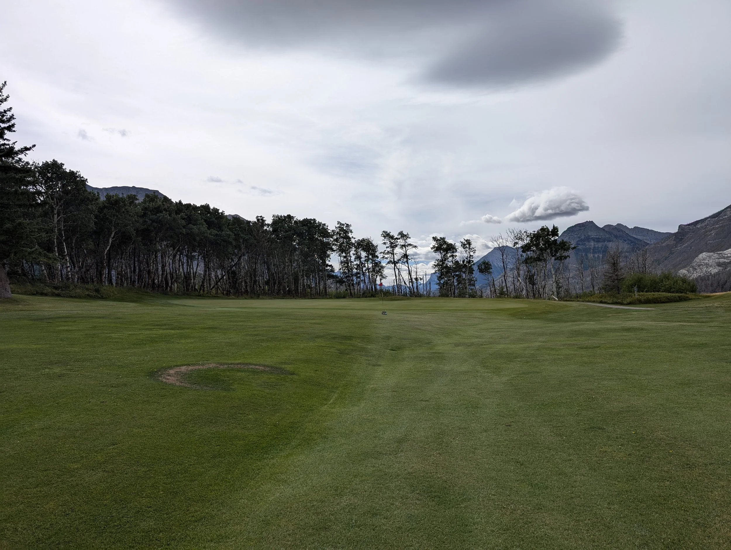 15th large wavy green complex comes into view