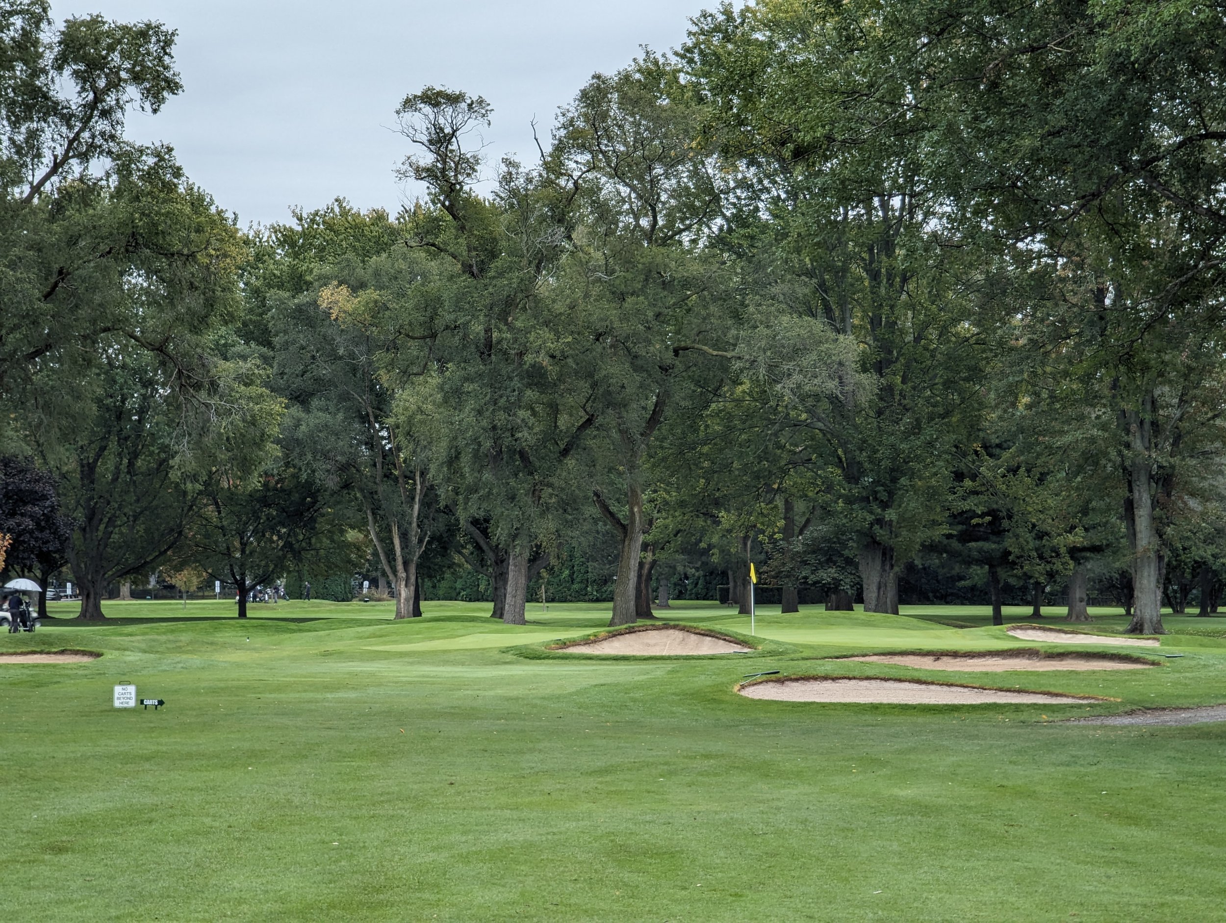 A golf course with a green and sand bunkers surrounded by trees.